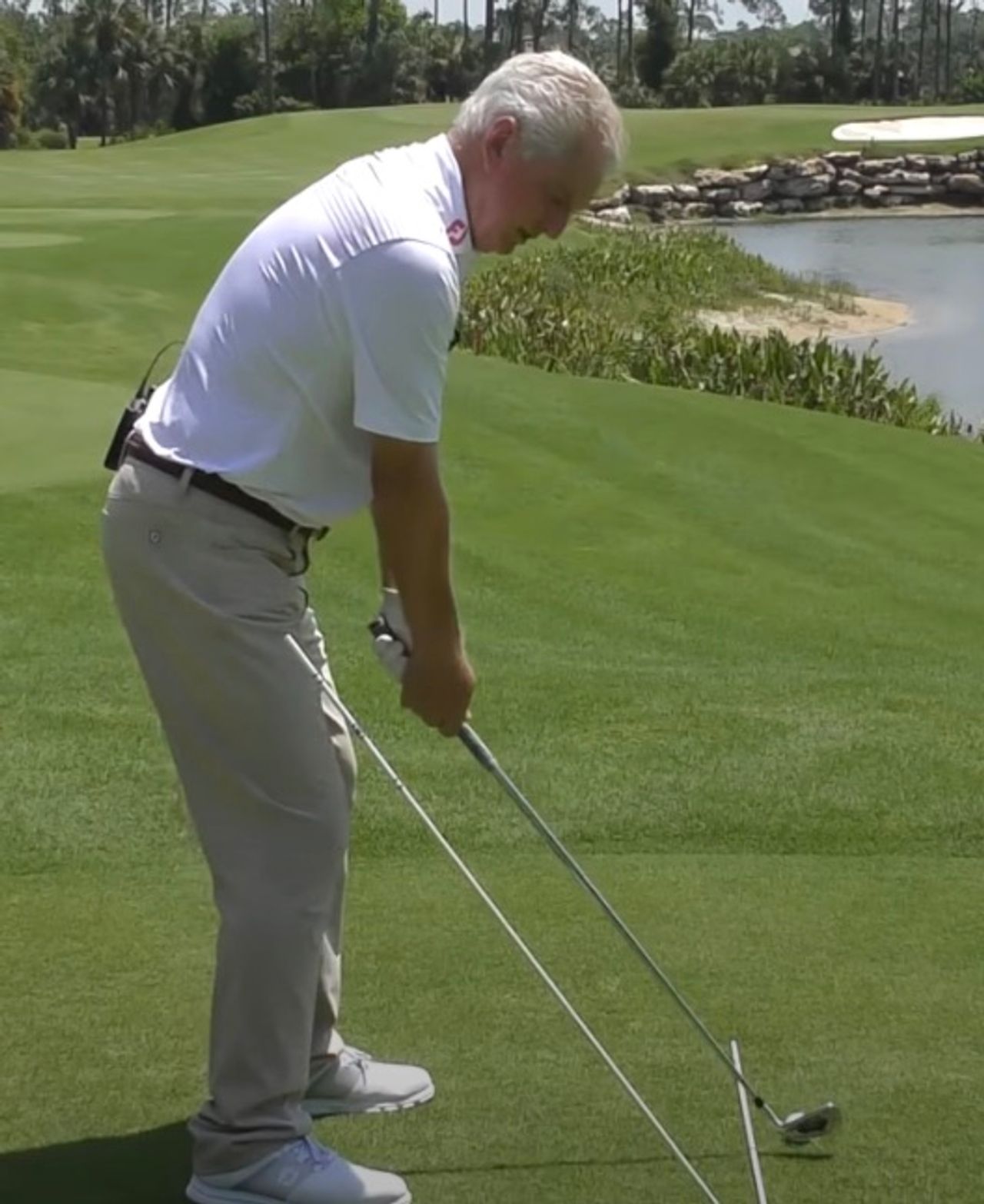 The Swing Plate Review A Great Partner to the Ideal Training Aid