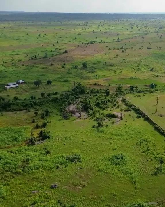 Drone view of open farmland with a long white perimeter fence and site buildings on the left