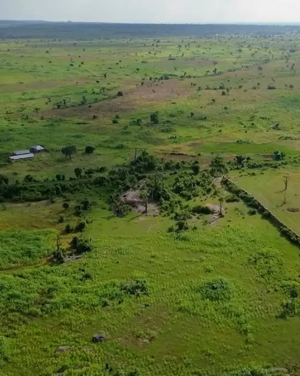 Drone view of open farmland with a long white perimeter fence and site buildings on the left