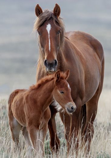 Página en construcción