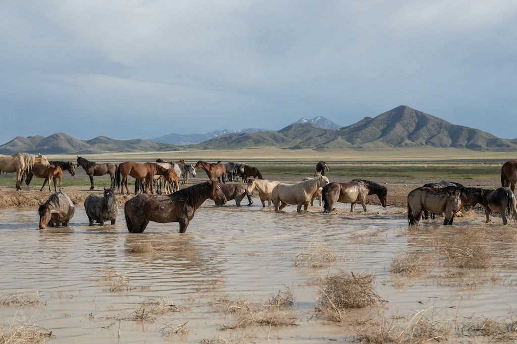 Criticism of F-Balance? Explanations by Daniel Anz