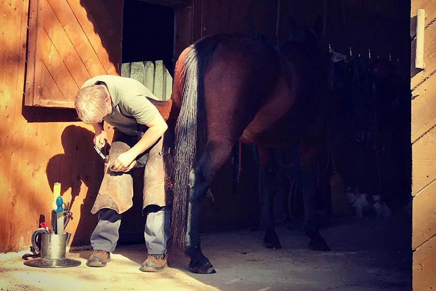 Kritik an F-Balance®? Erklärungen von Daniel Anz