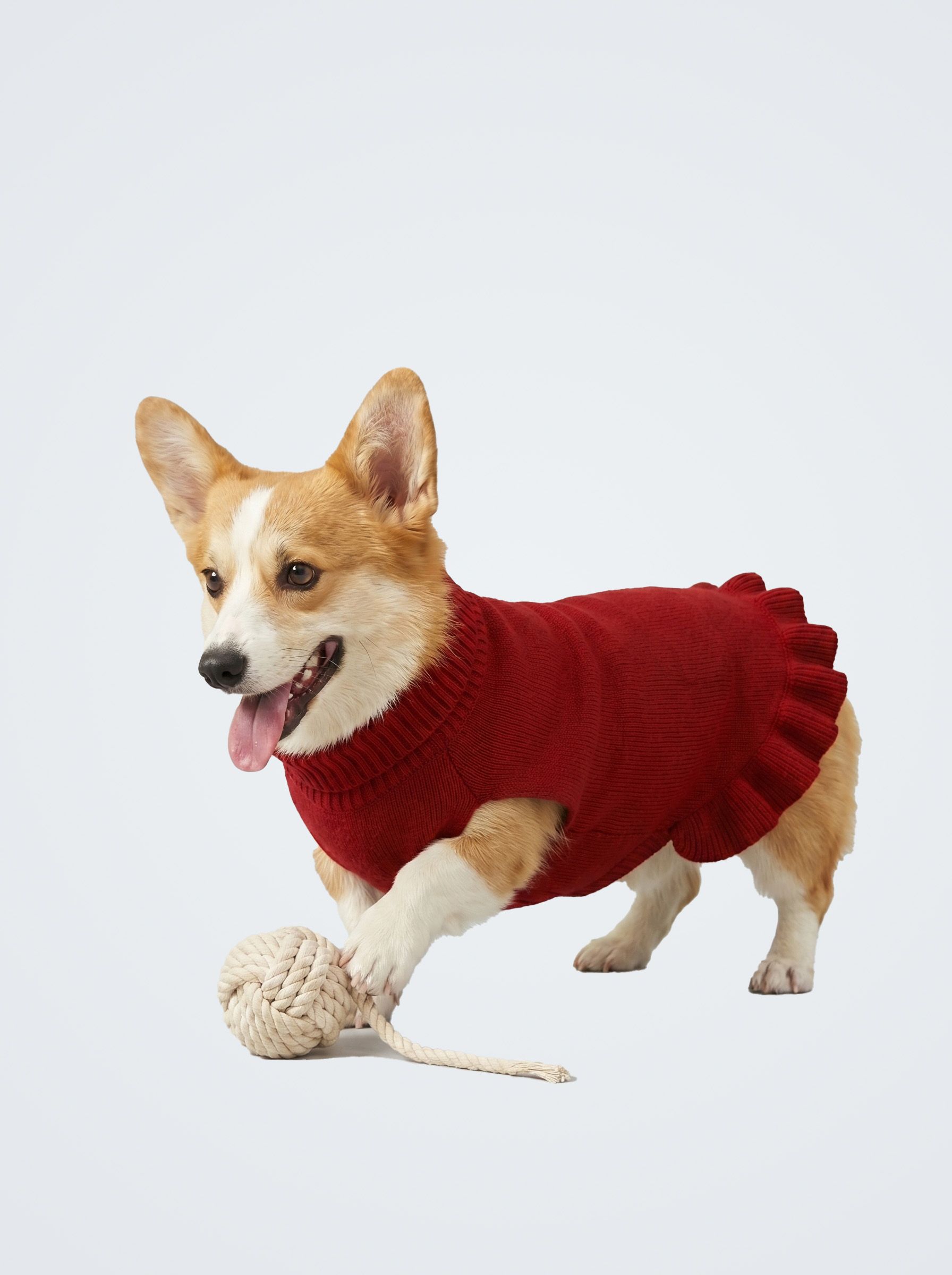 PET SWEATERS & ACCESSORIES