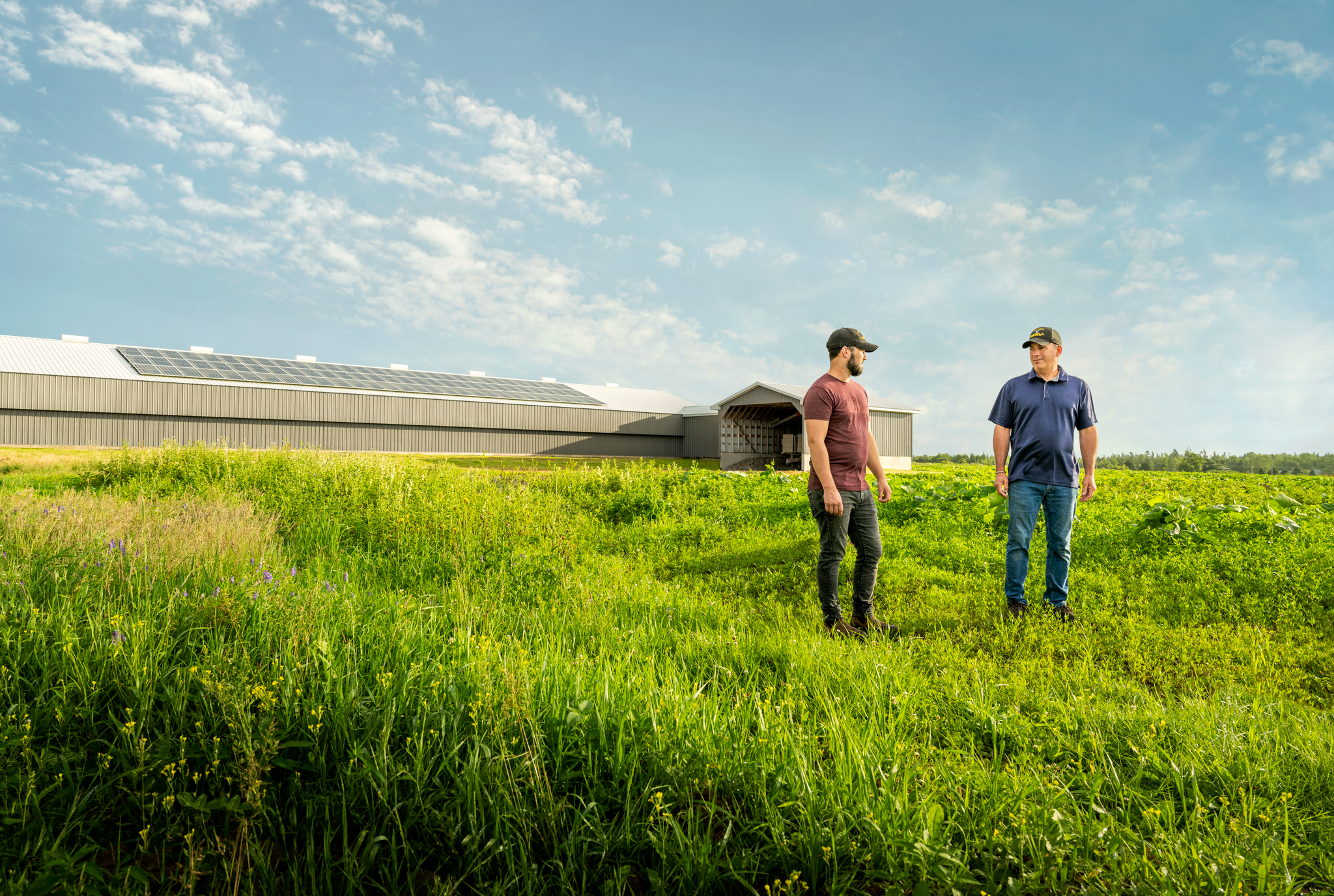 A Farmer's Guide to Switching to Solar Energy