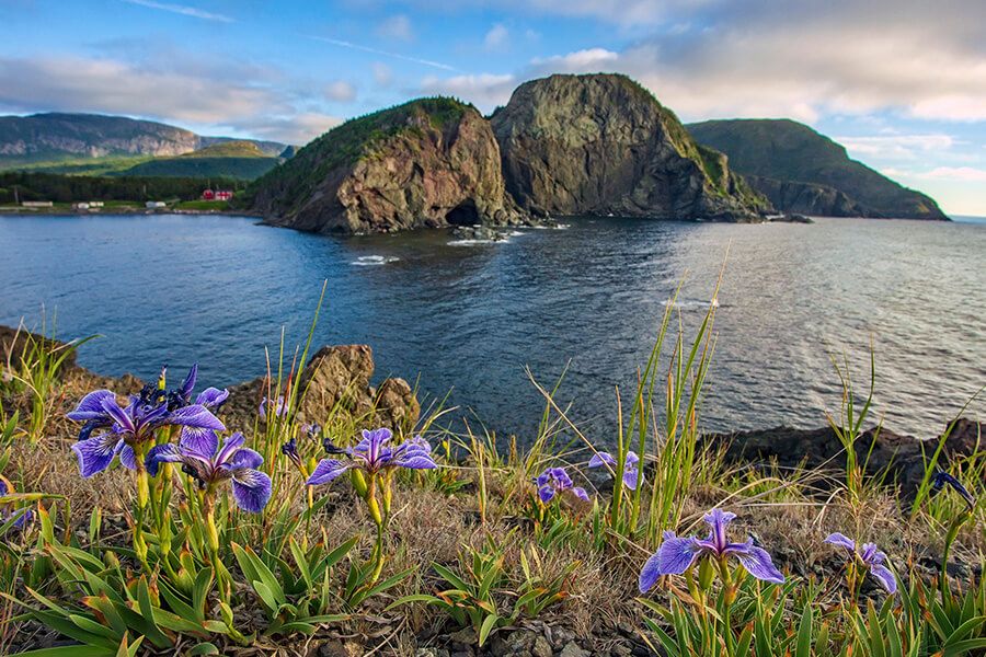 Sun Kissed Energy Brings Solar to Corner Brook, Newfoundland