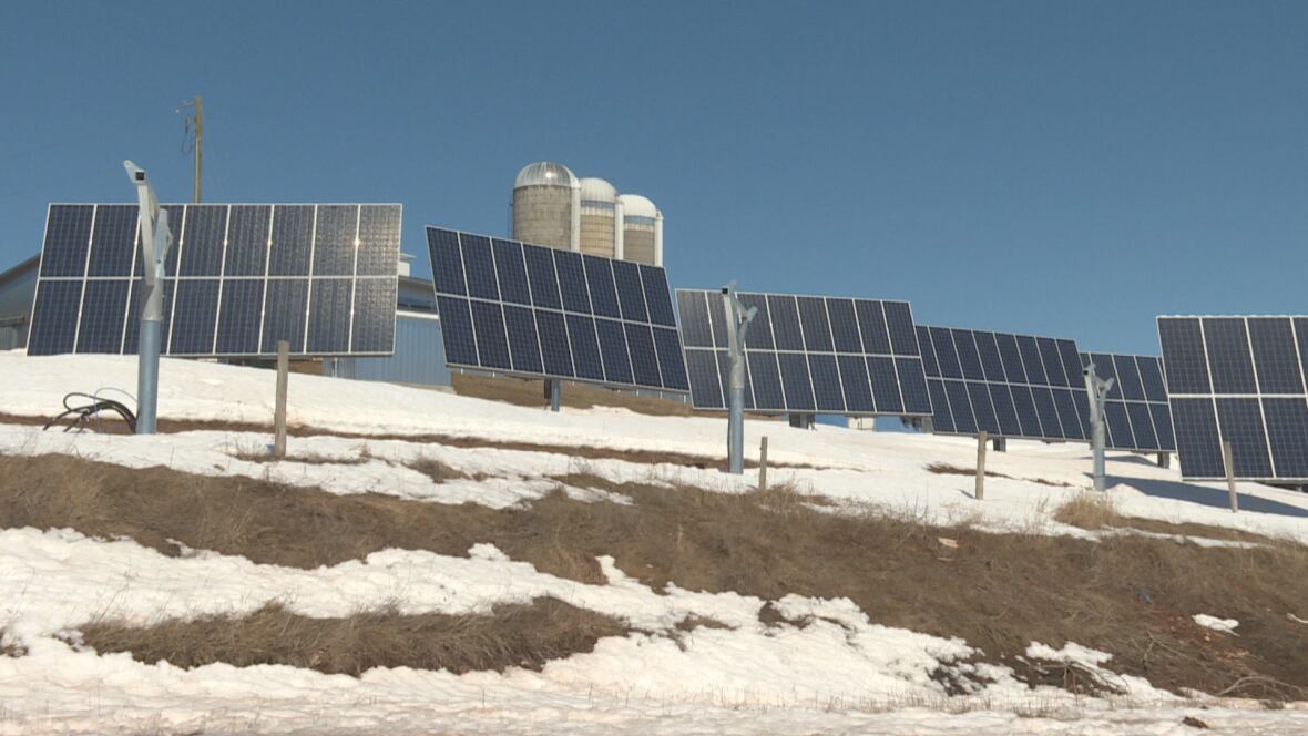 Are Solar Panels Worth It in New Brunswick? (2025 Guide)