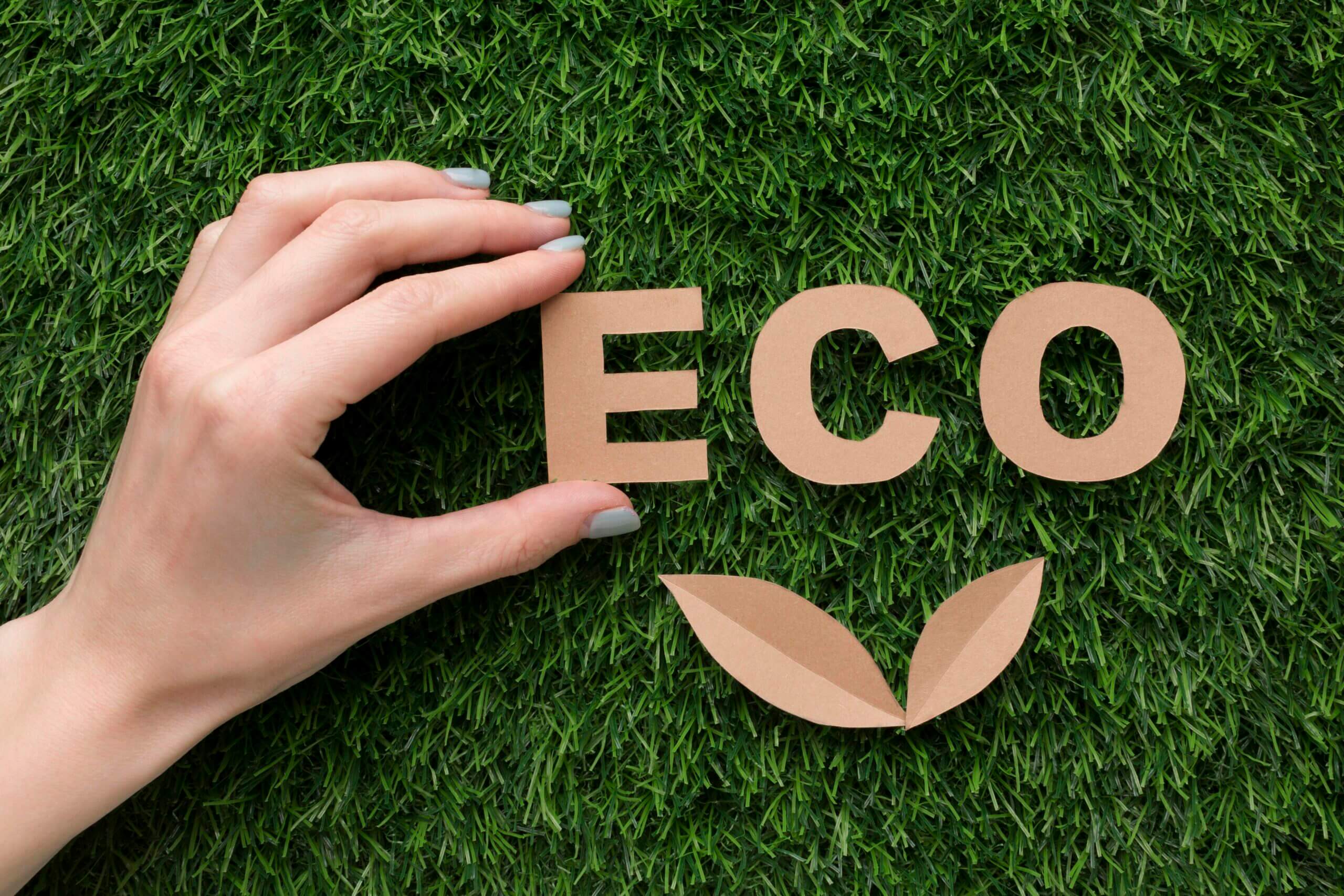 Solar Panels and the Environment