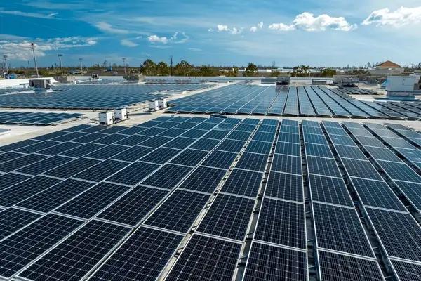 How Sun Kissed Energy Can Transform Your Canadian Business