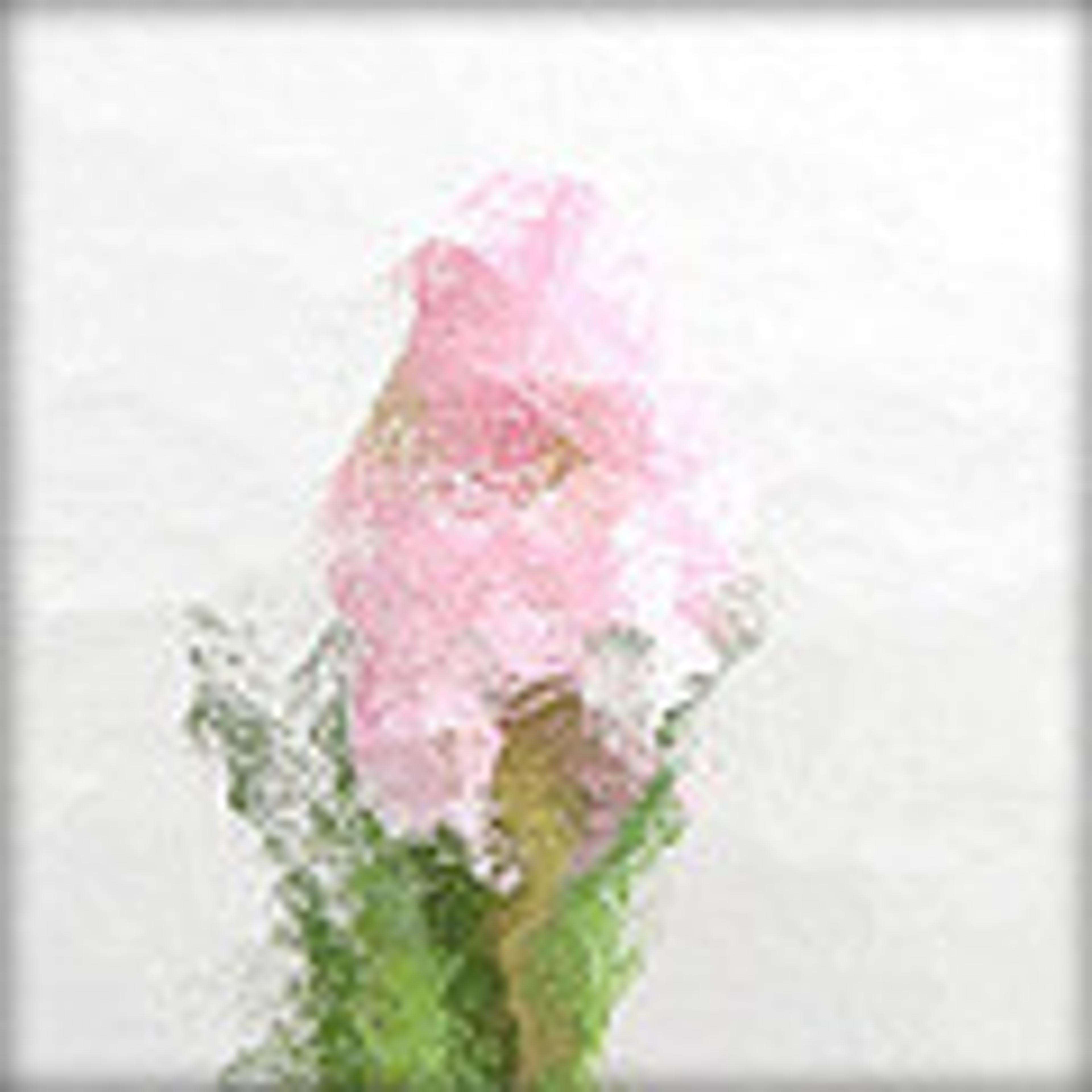 Råglas Cathedral Råglas Cathedral