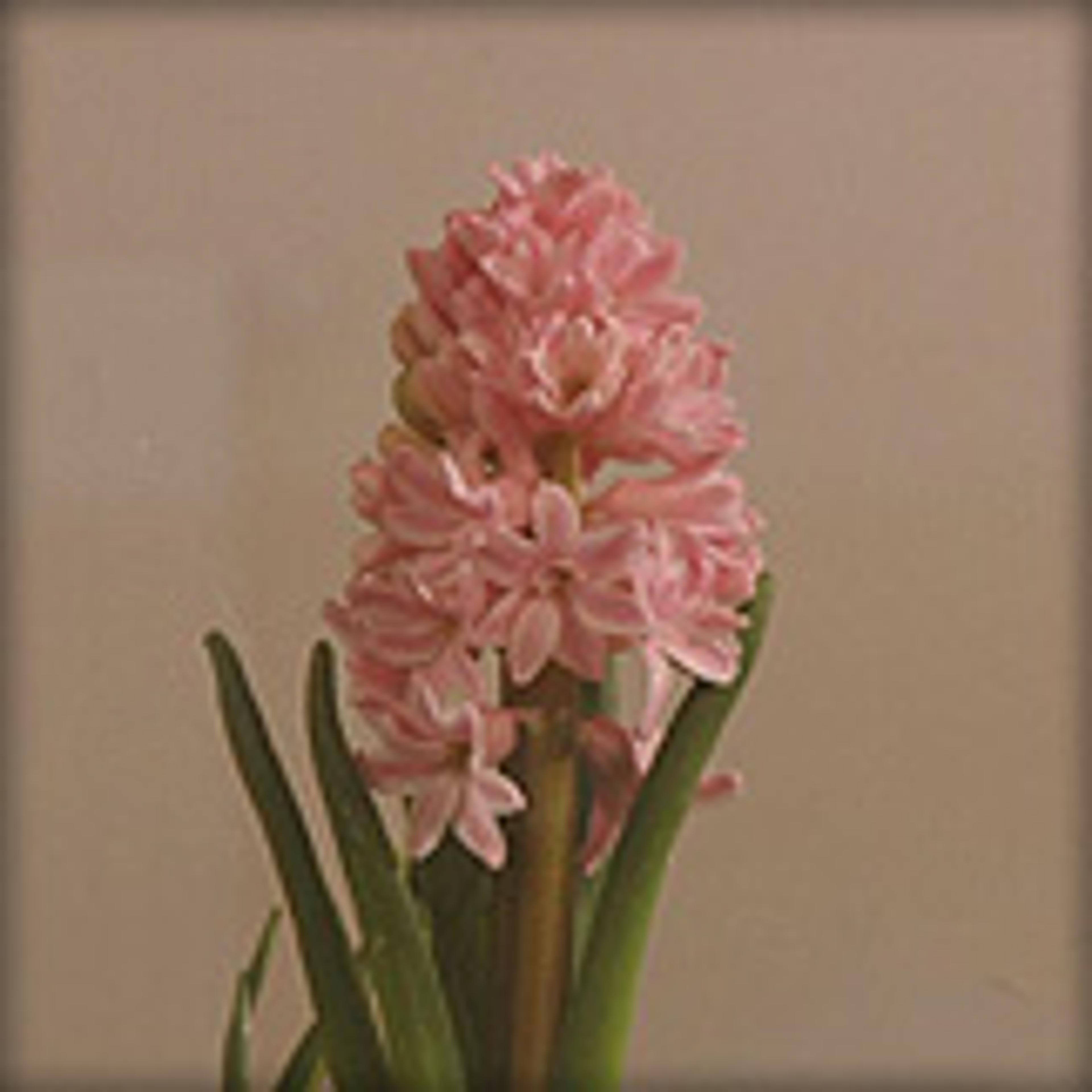 Reflektoglas Brun Reflektoglas Brun