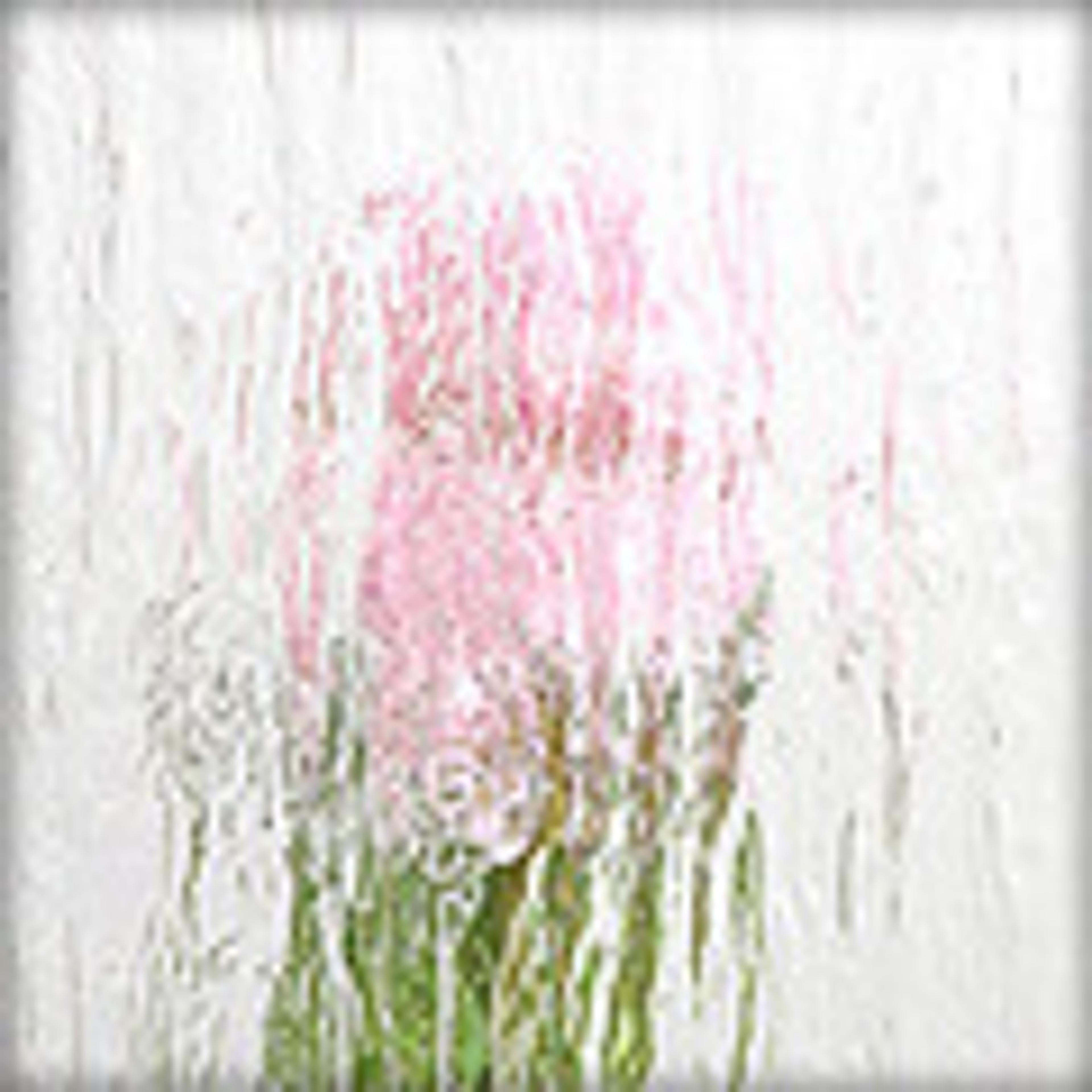 Råglas Silvit Råglas Silvit