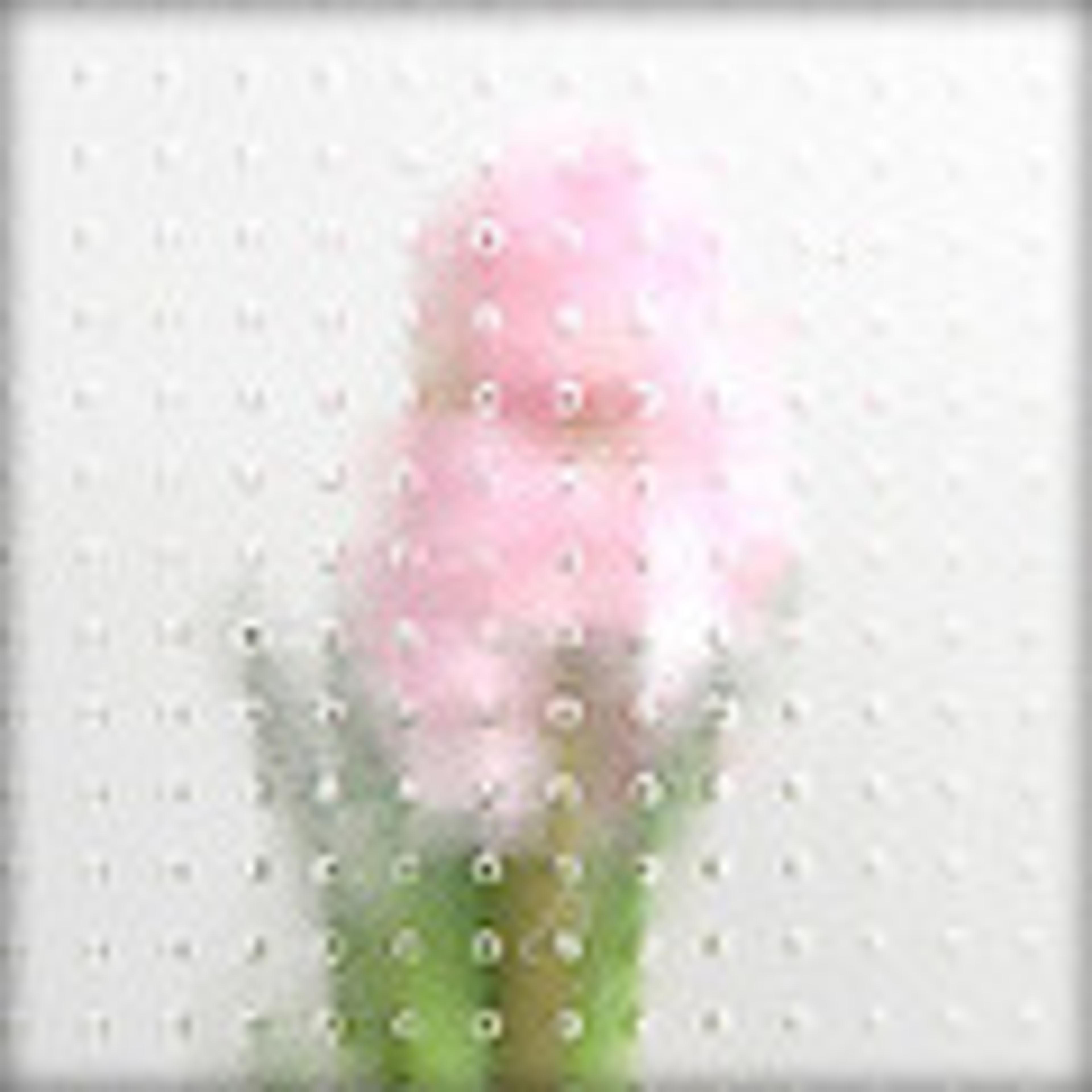 Råglas Royal King Råglas Royal King