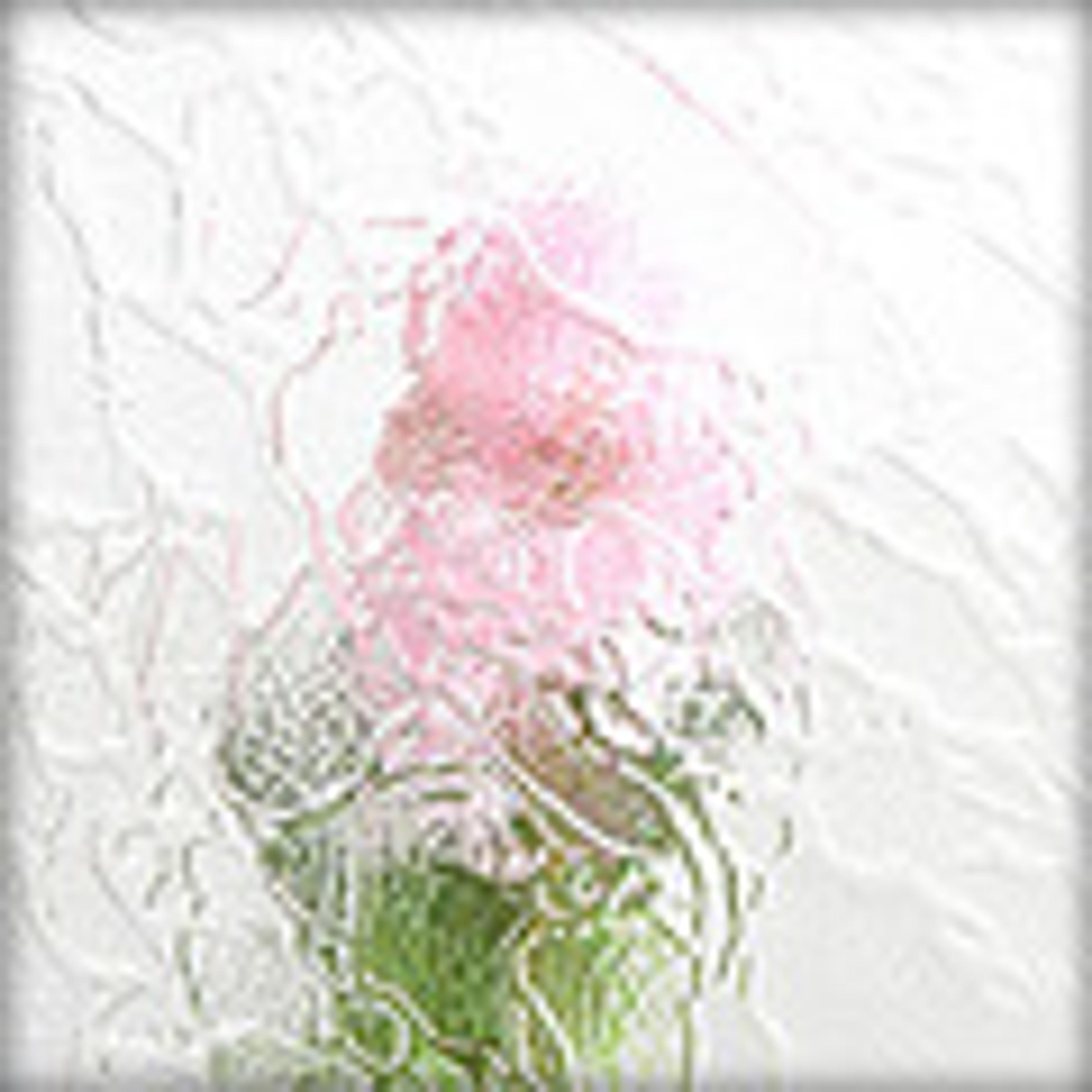 Råglas Delta Råglas Delta