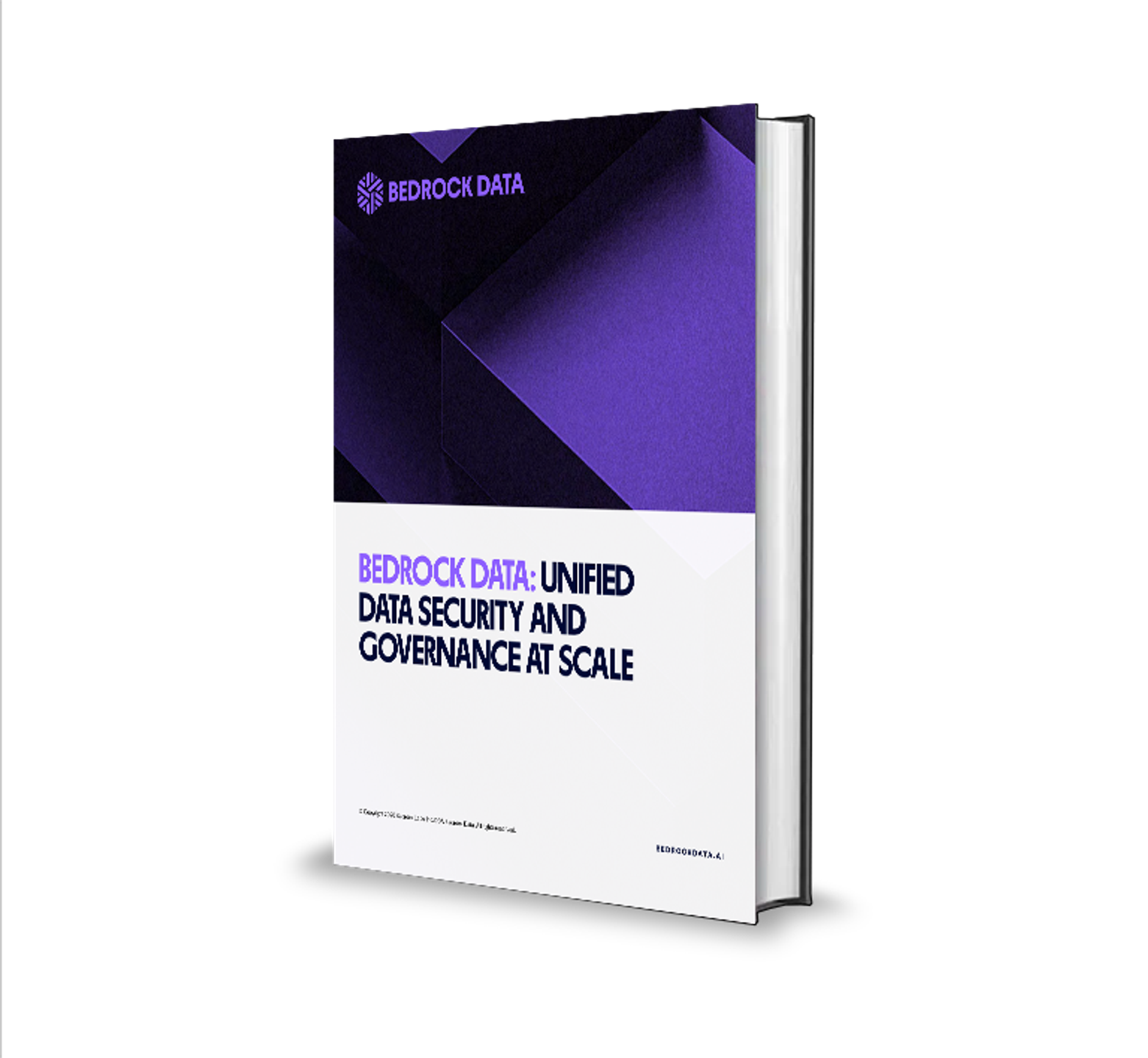 a book titled bedrock data unified data security and governance at scale