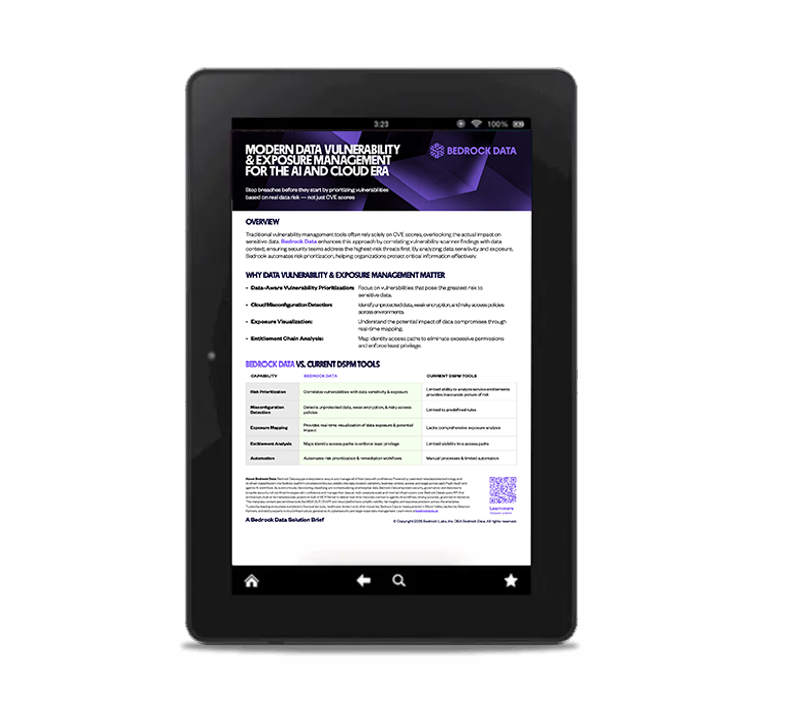 bedrock-use-case-data-vulnerability-exposure-management