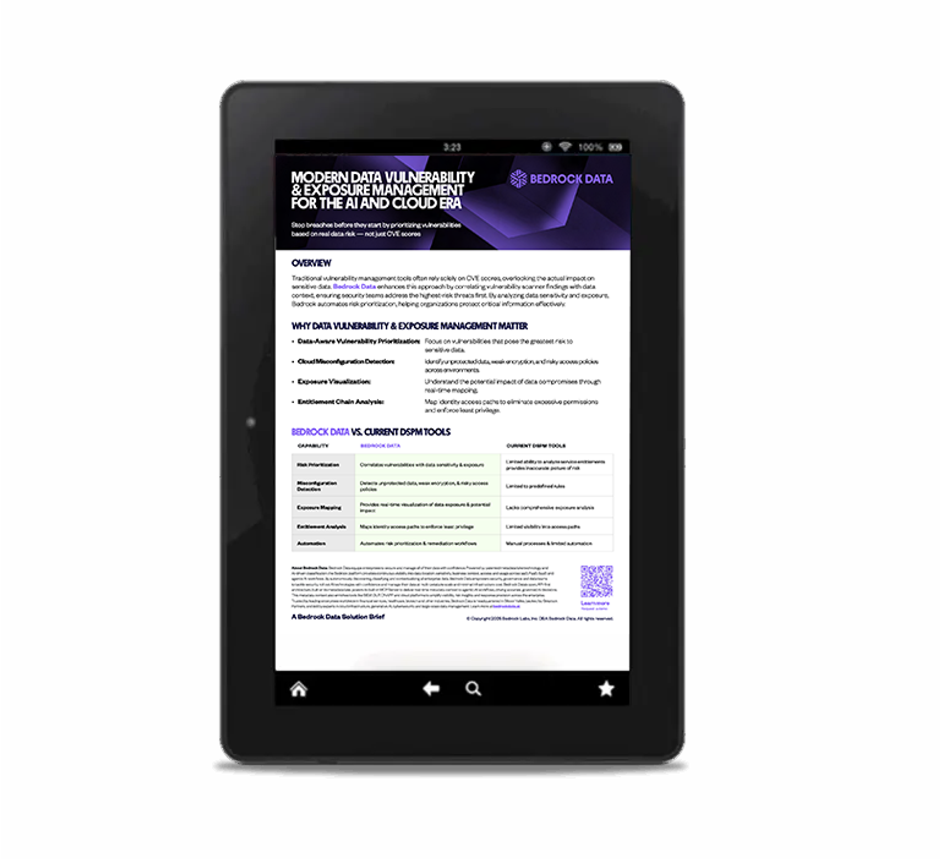 bedrock-use-case-data-vulnerability-exposure-management