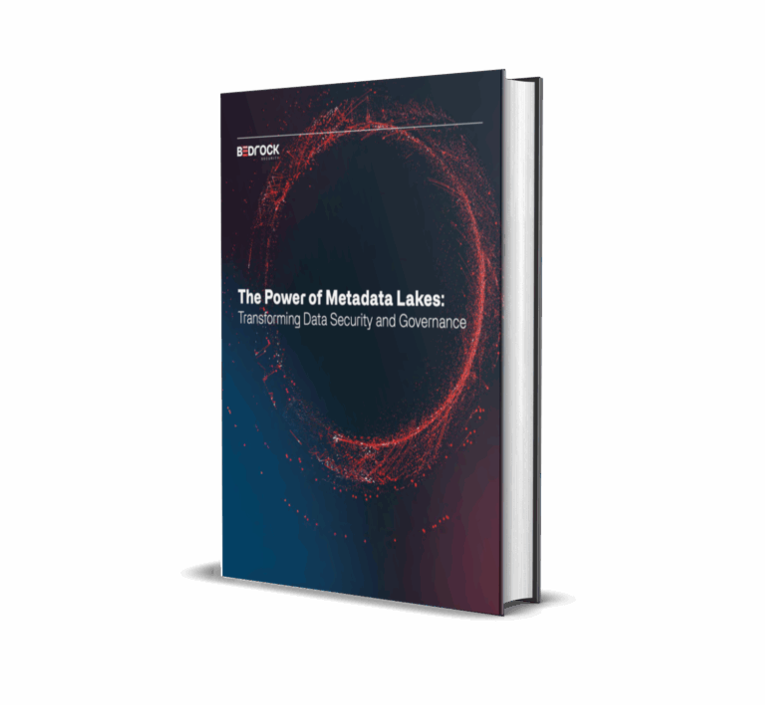 The Power of Metadata Lakes: Transforming Data Security and Governance