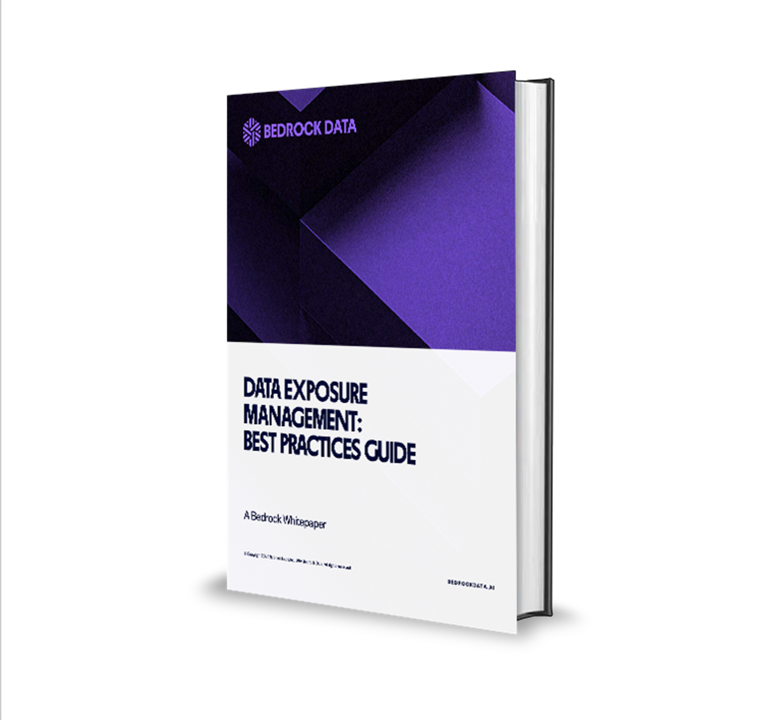 a book titled data exposure management best practices guide