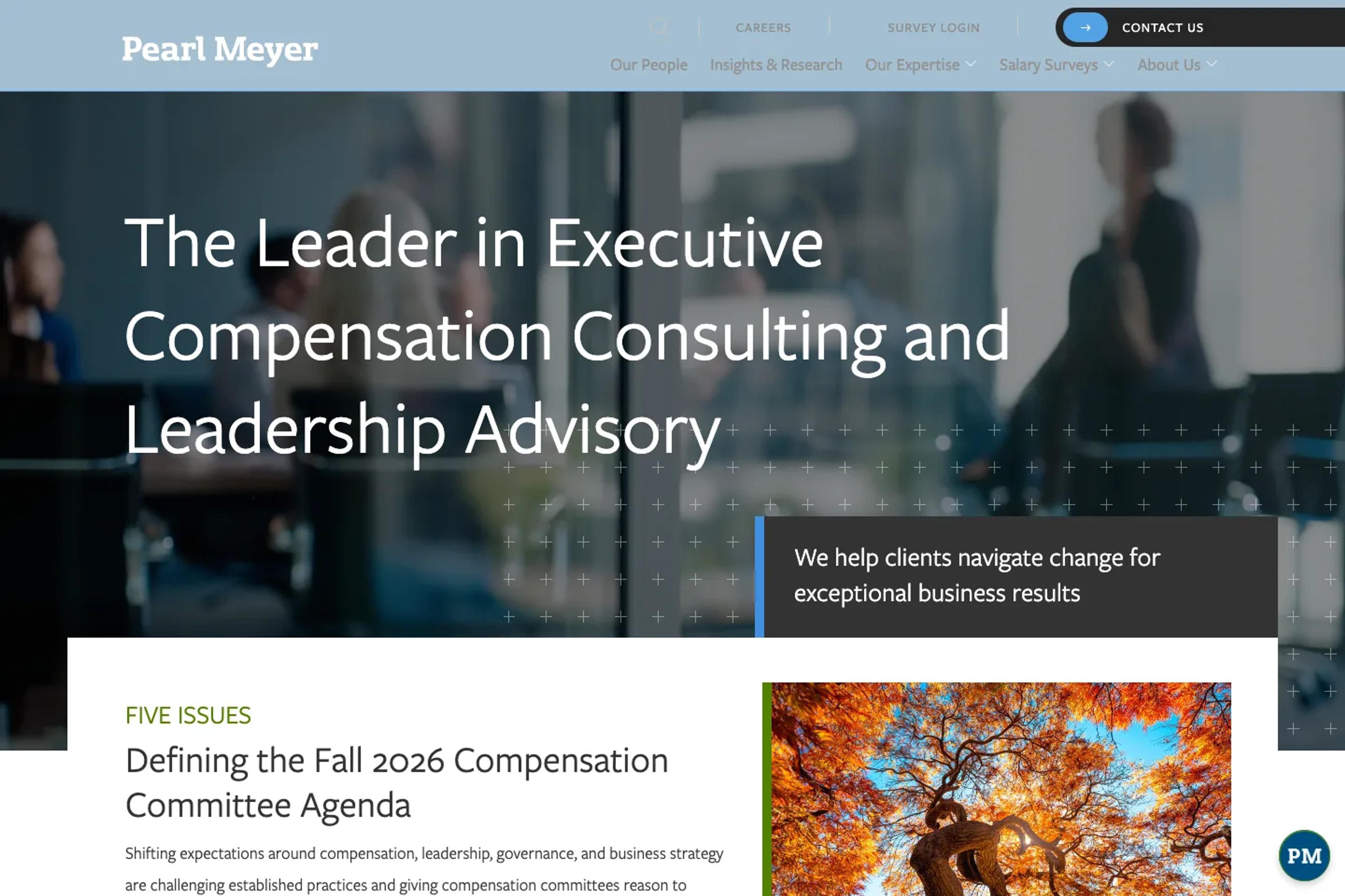 Pearl Meyer website homepage