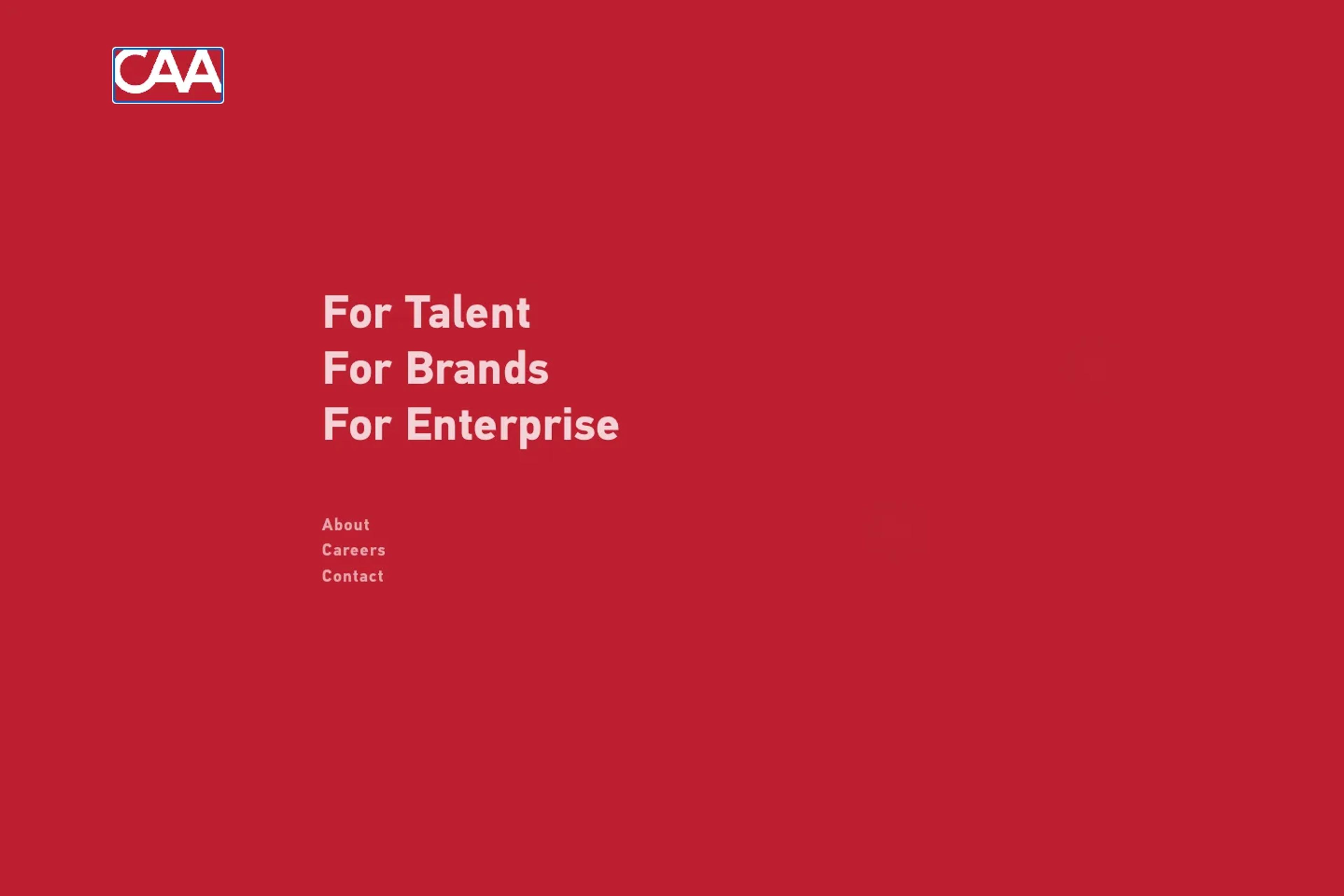 CAA Executive Search website homepage