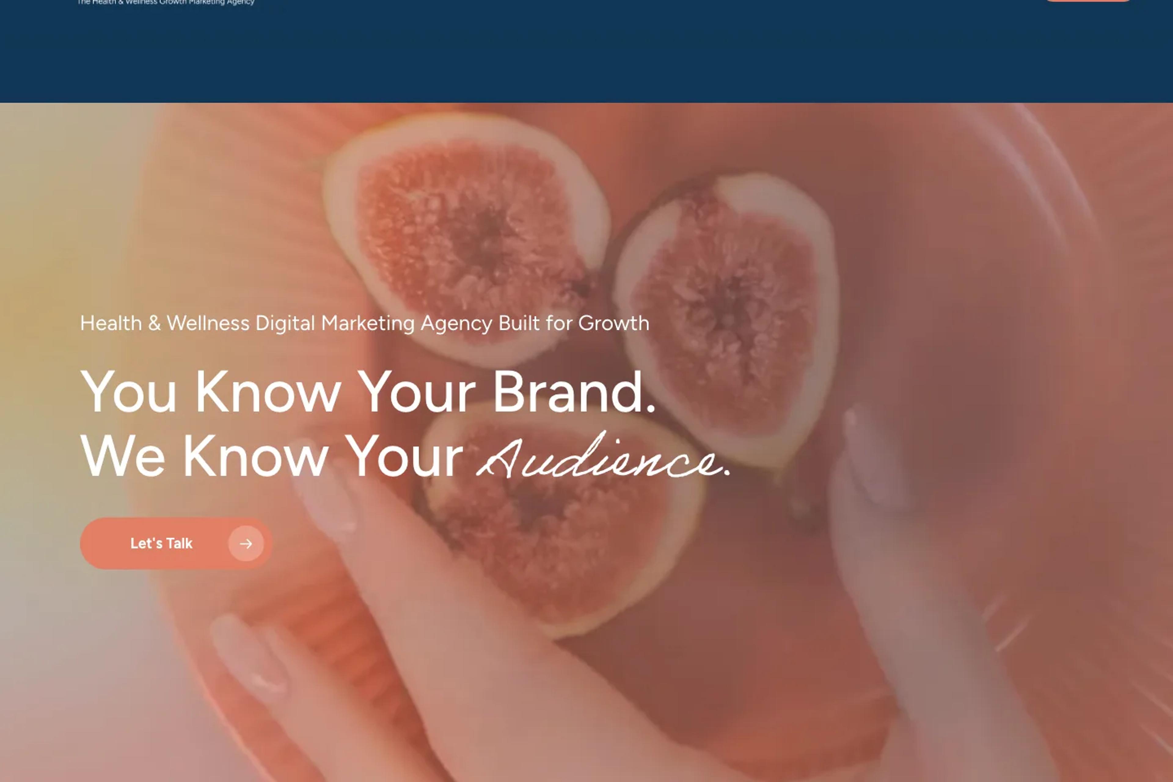 Spark Growth website homepage