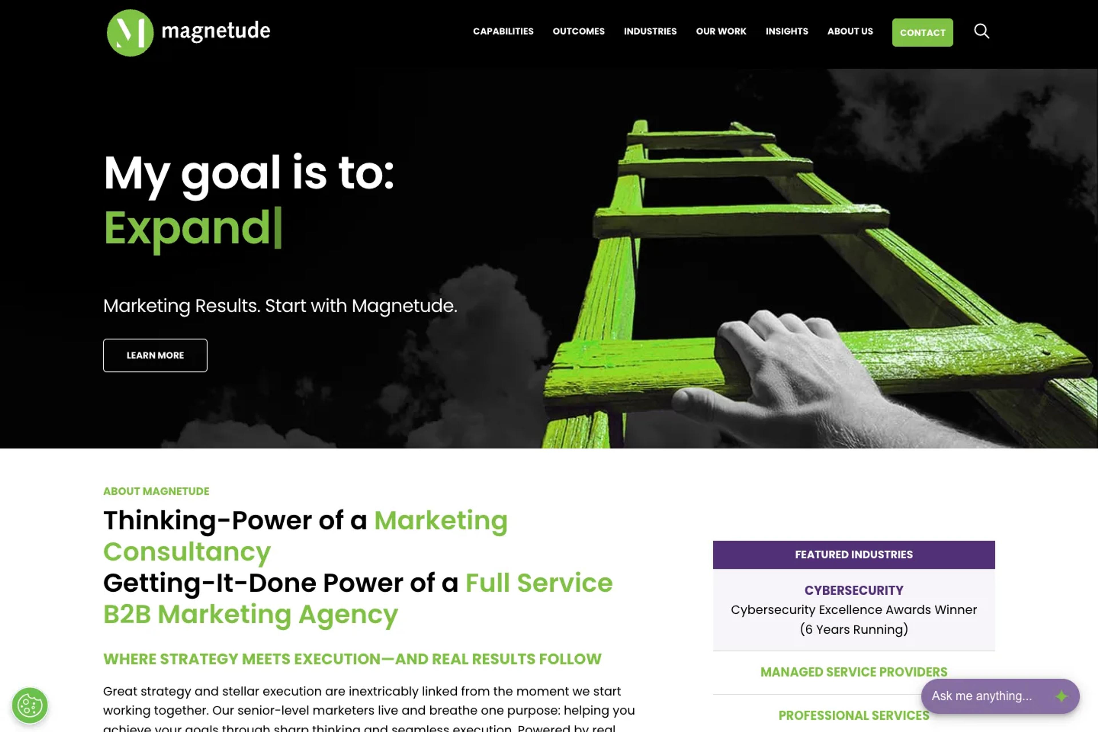 Magnetude Consulting website homepage
