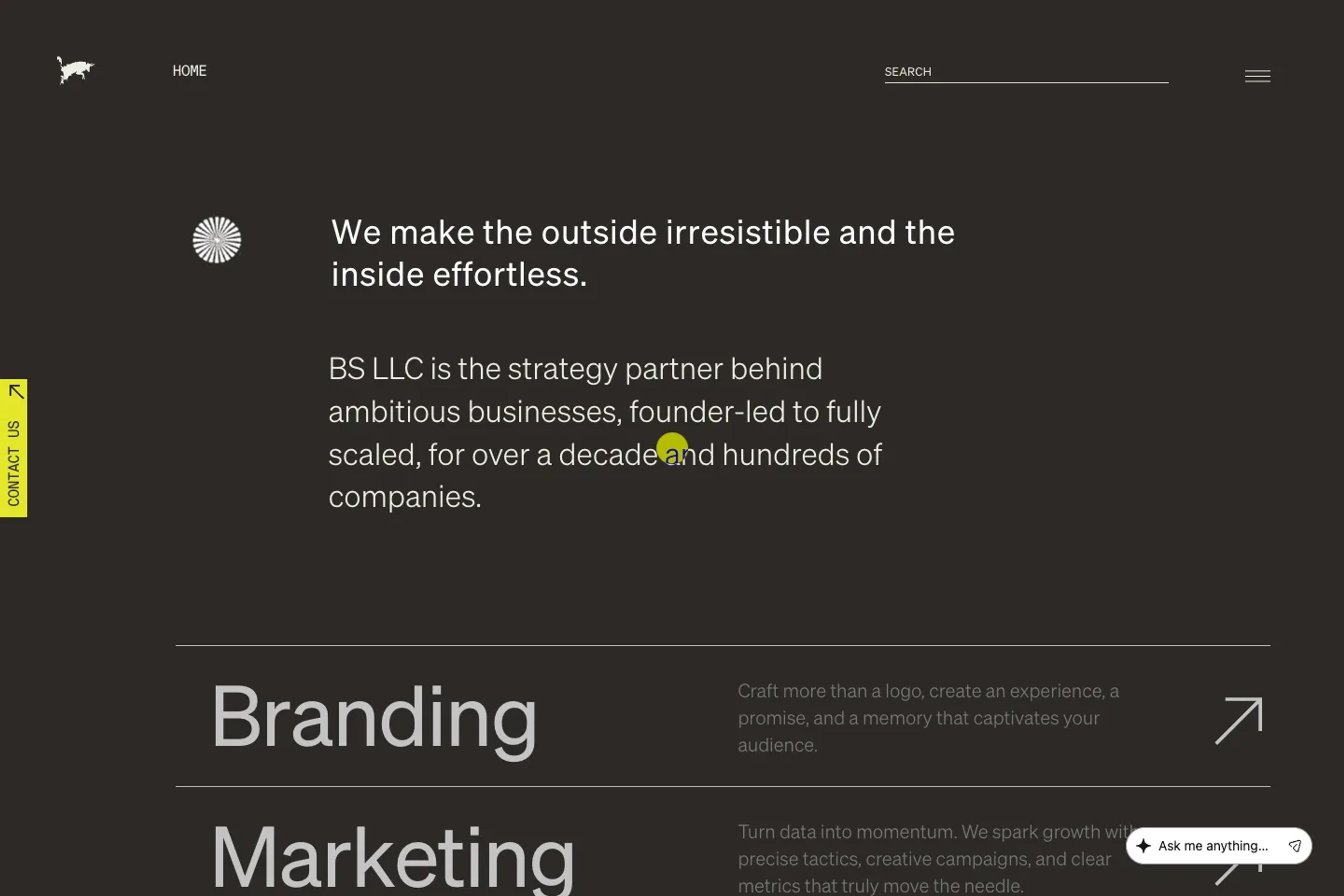 BS LLC website homepage