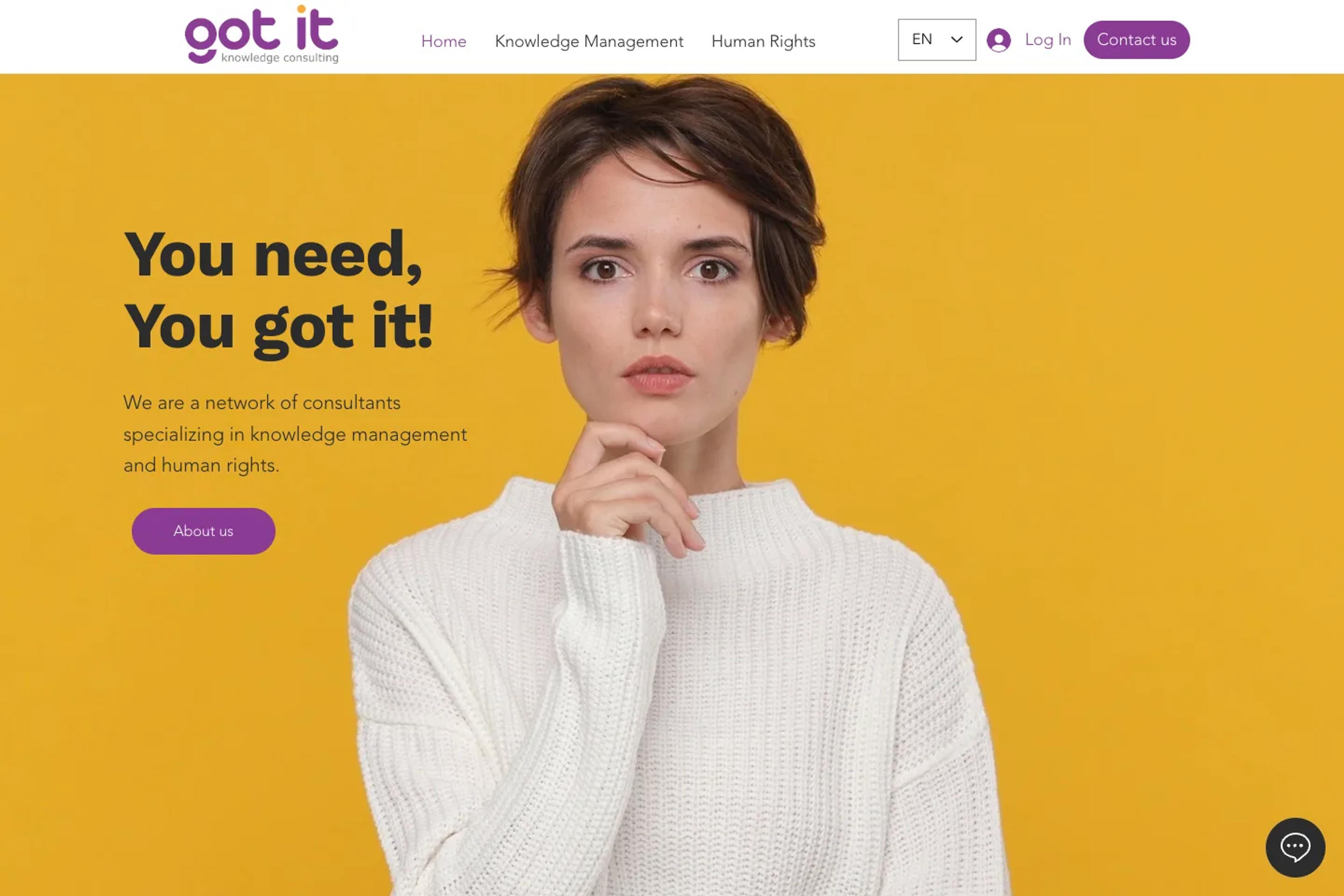 Got-it Knowledge Consulting website homepage