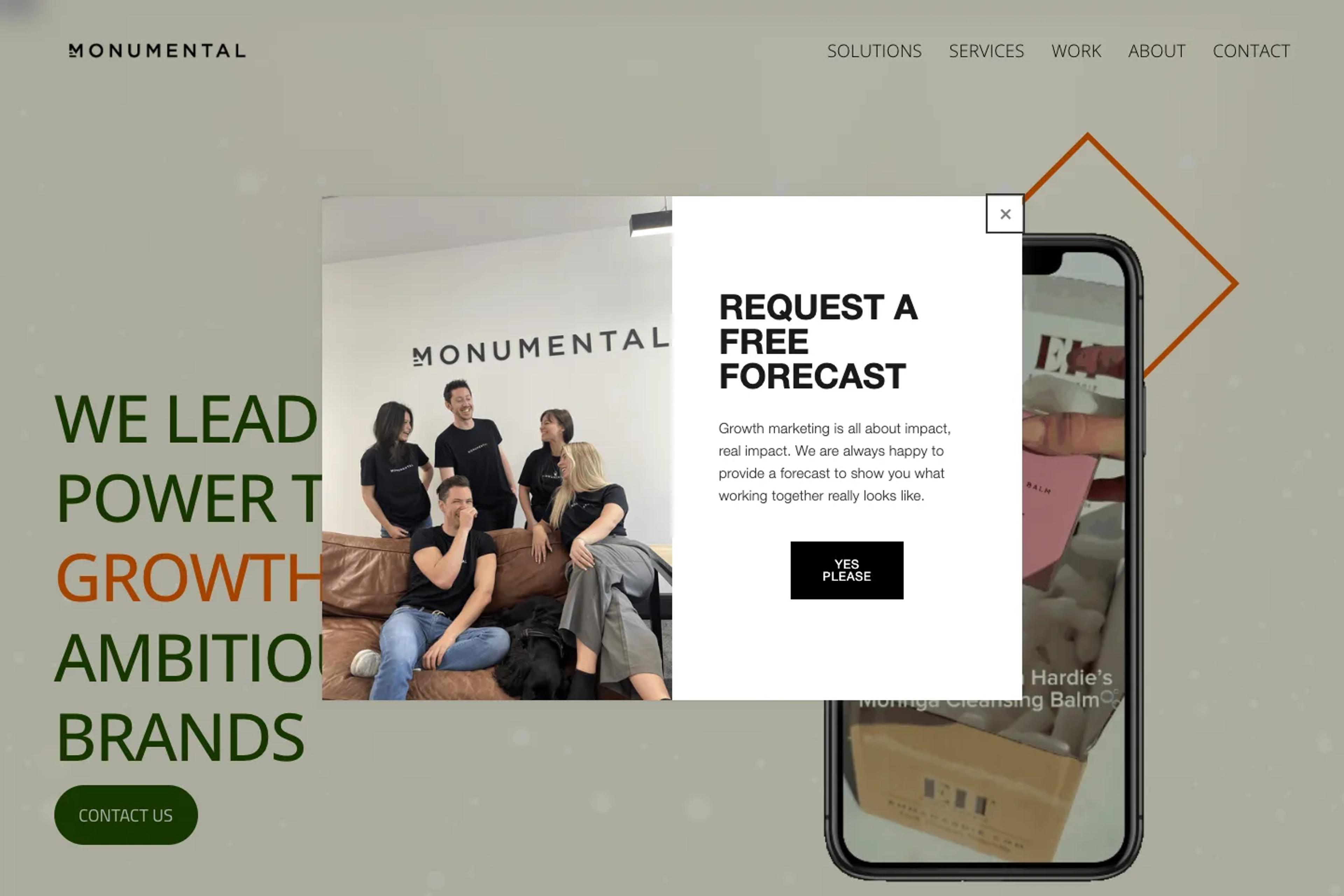 Monumental website homepage