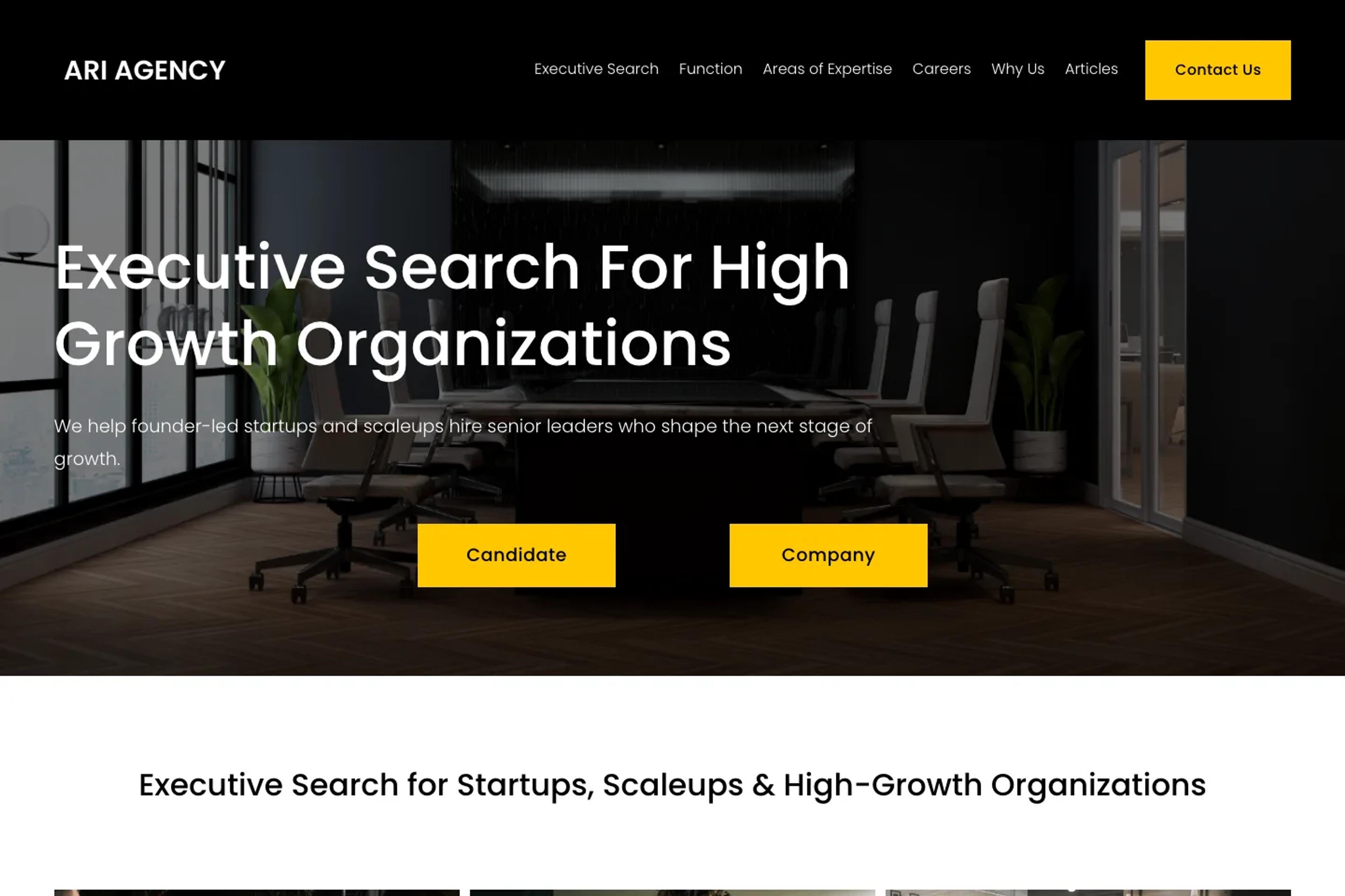 Ari Agency website homepage