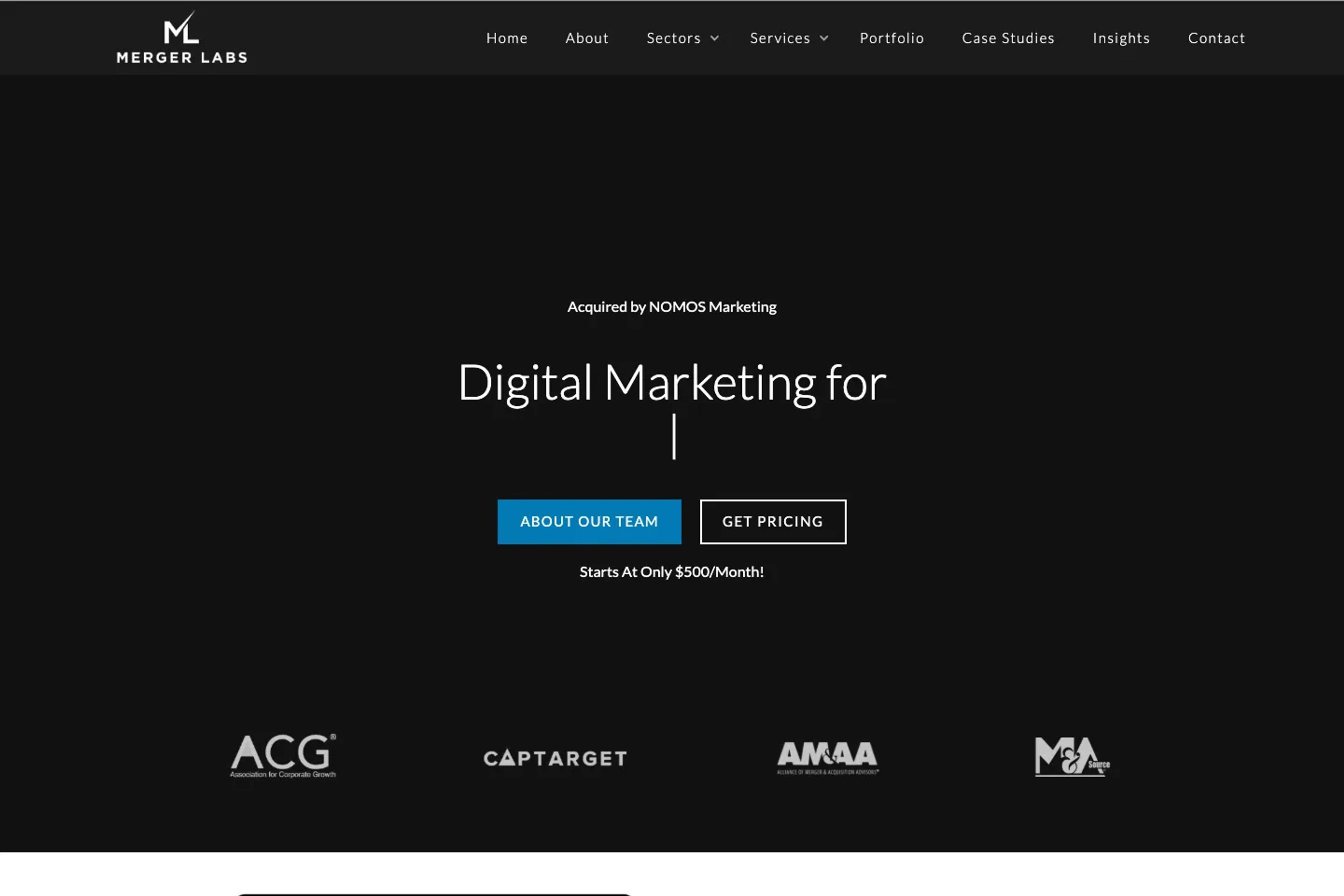 Merger Labs website homepage