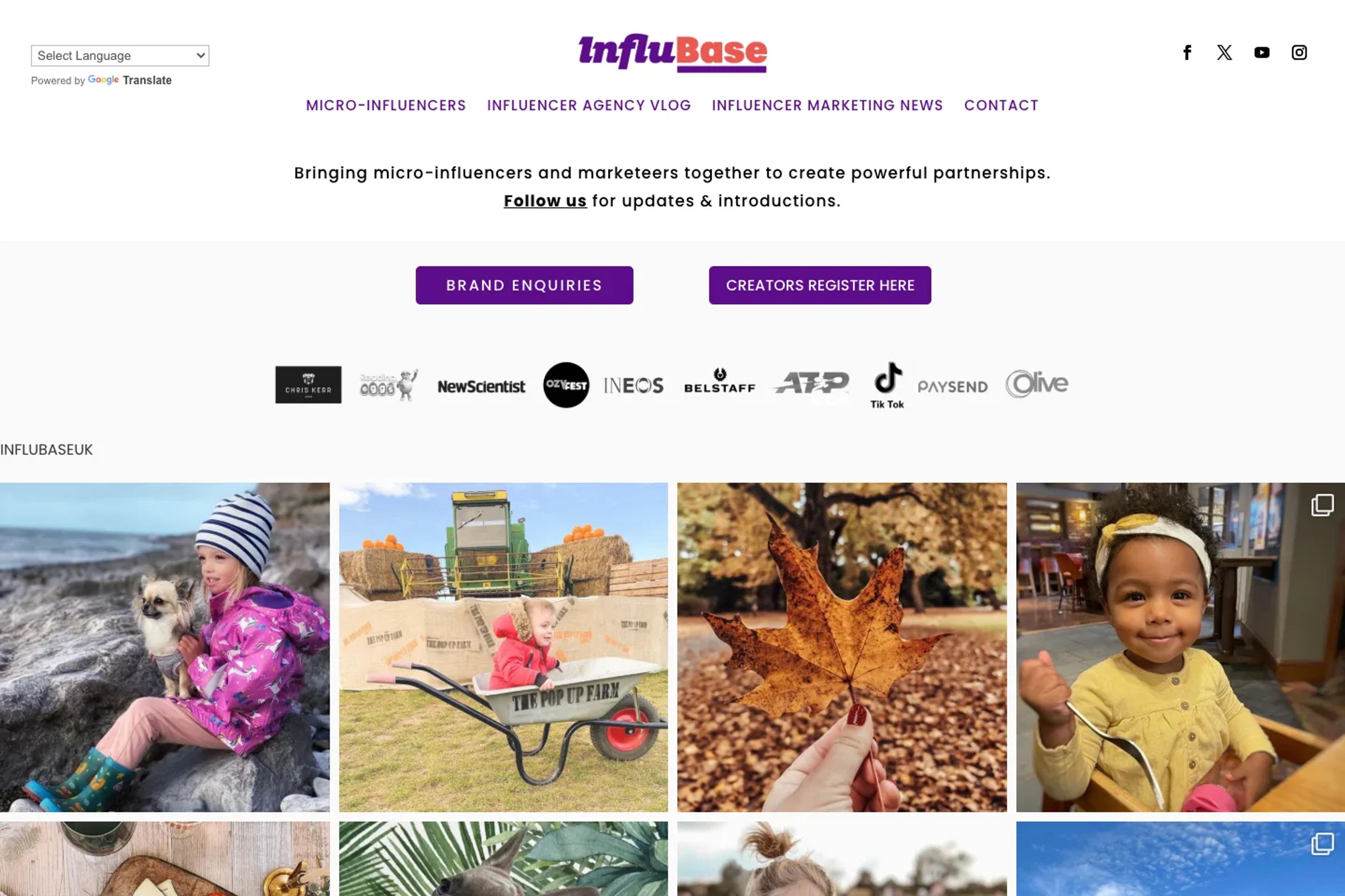 InfluBase website homepage