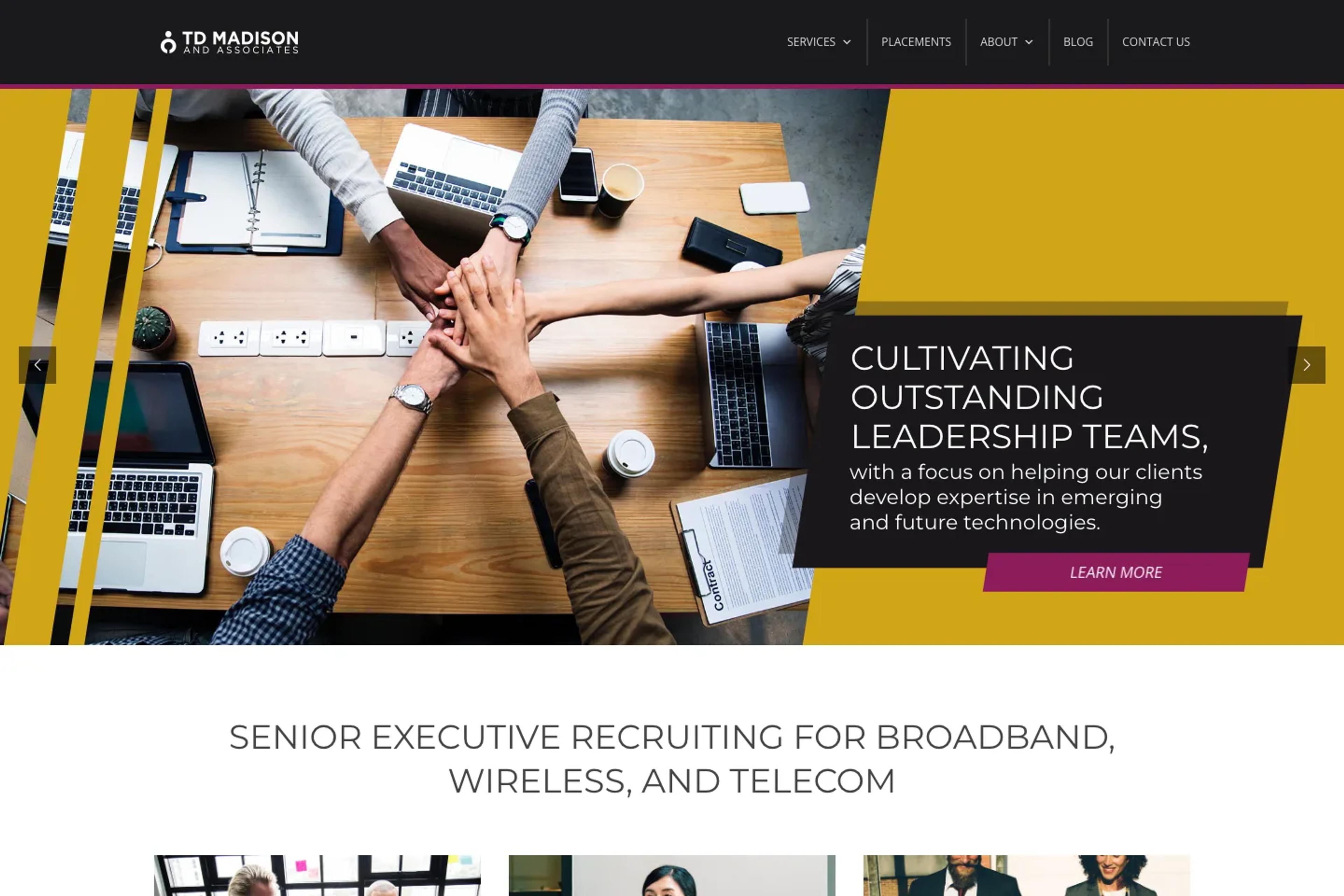 TDMadison website homepage