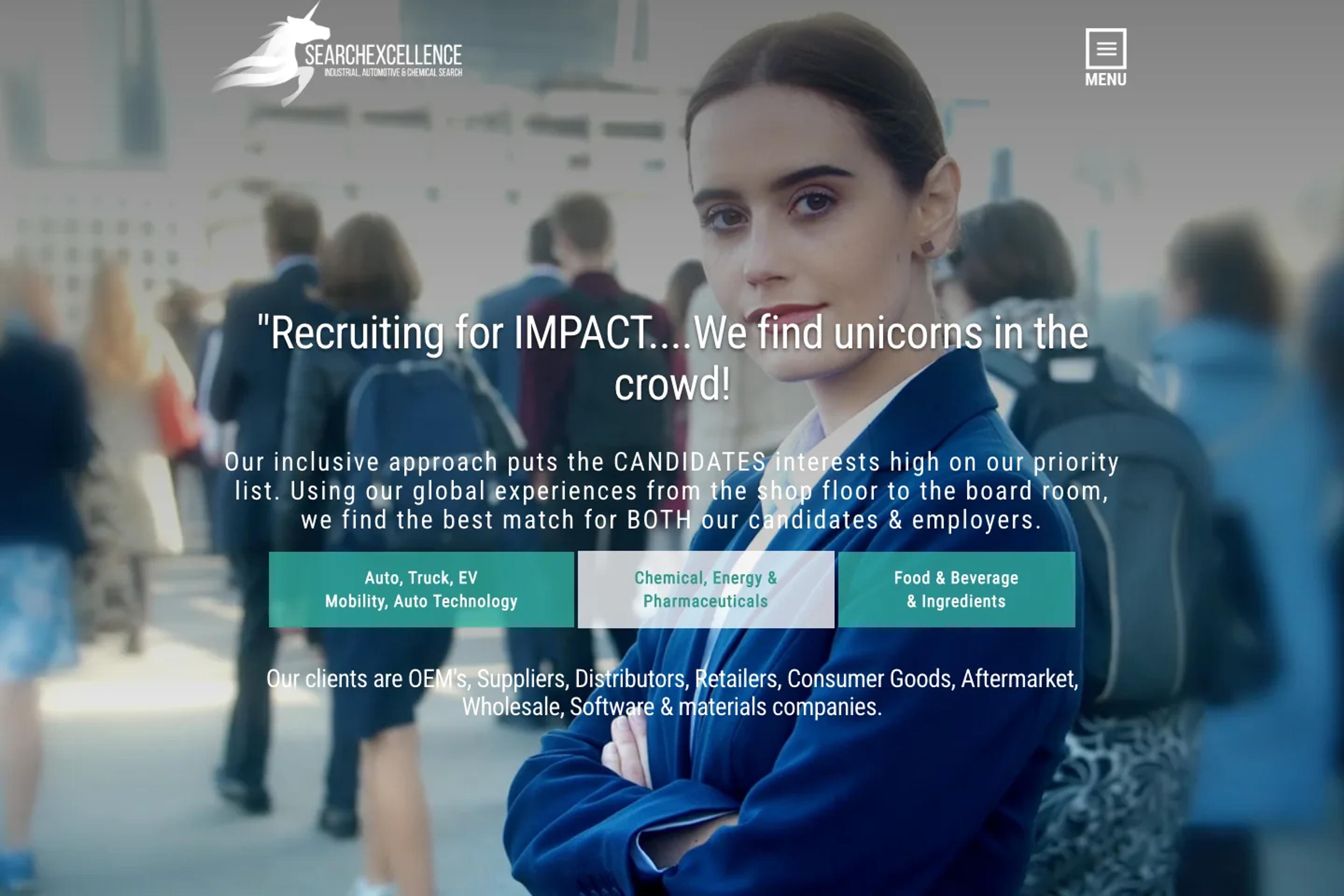 Search Excellence Partners website homepage