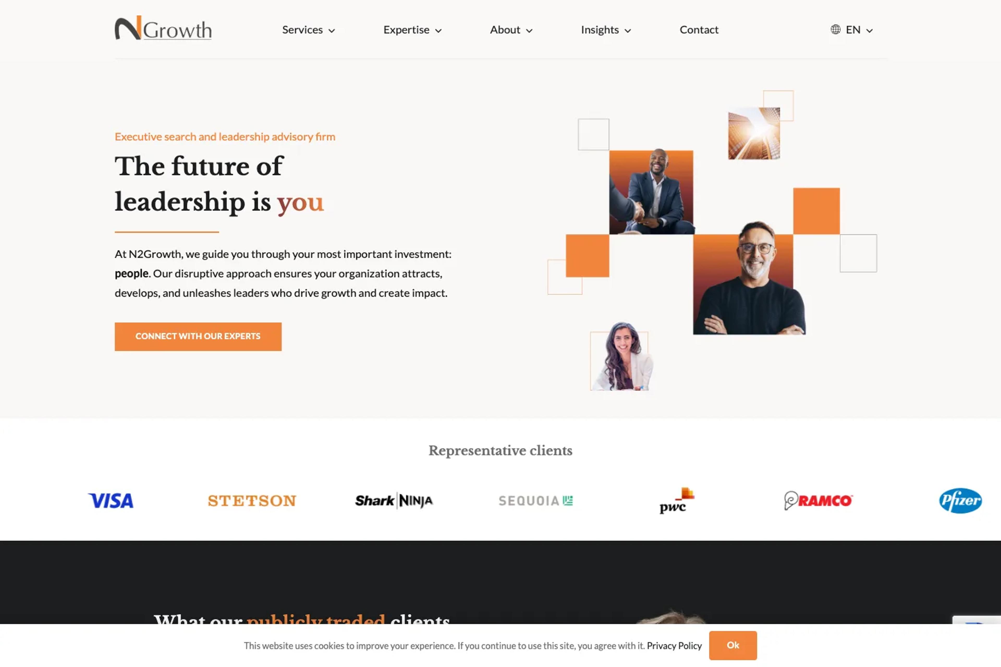 N2Growth website homepage