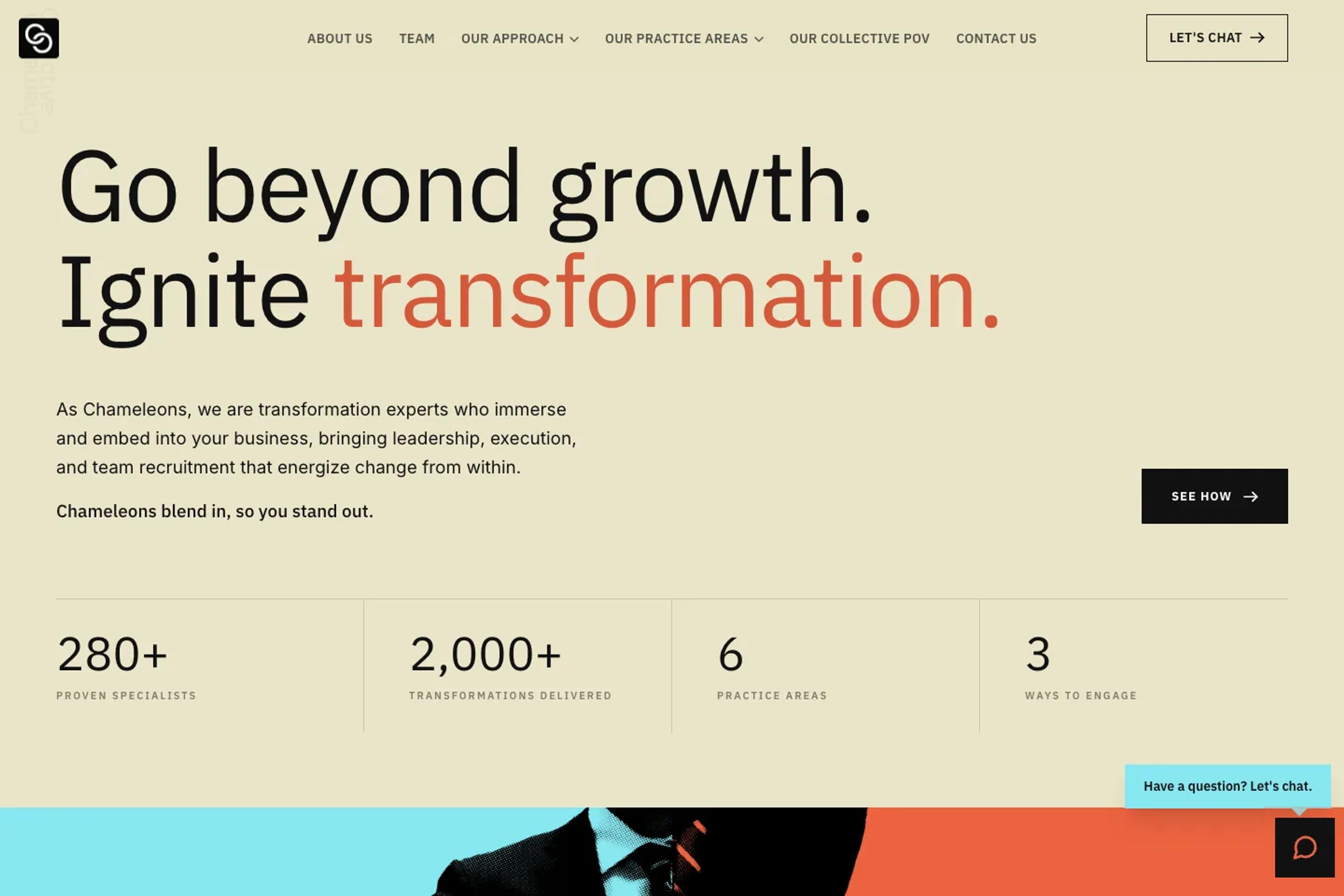 Chameleon Collective website homepage