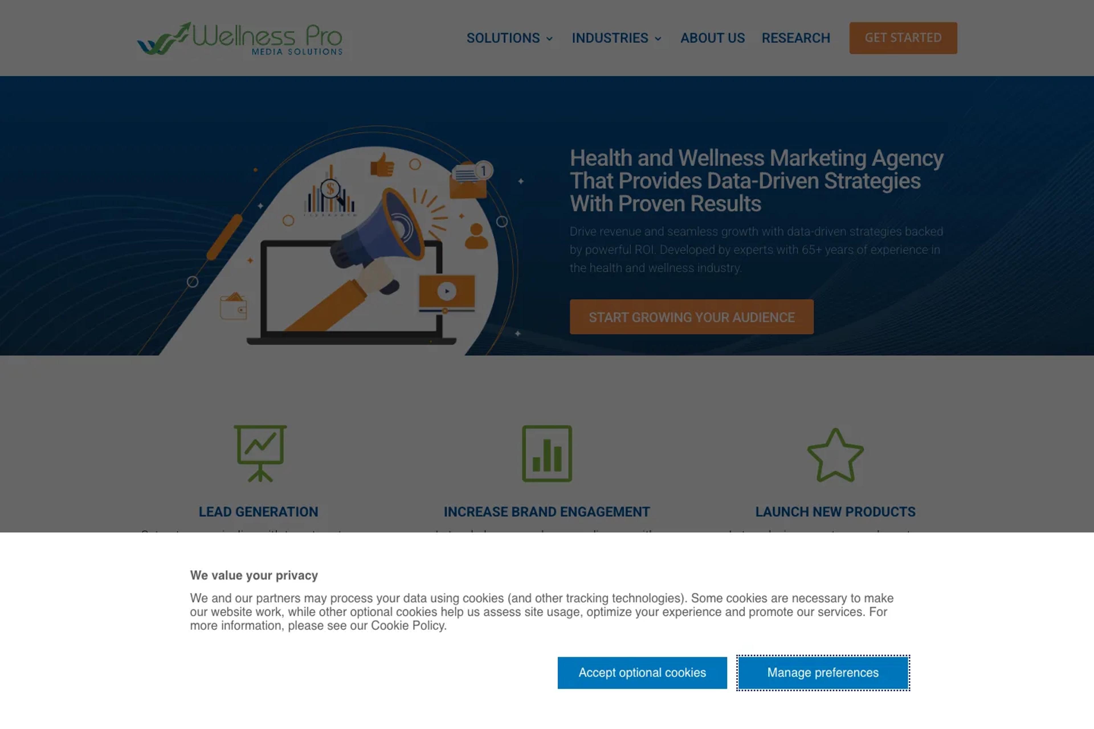 Wellness Pro Media Solutions website homepage