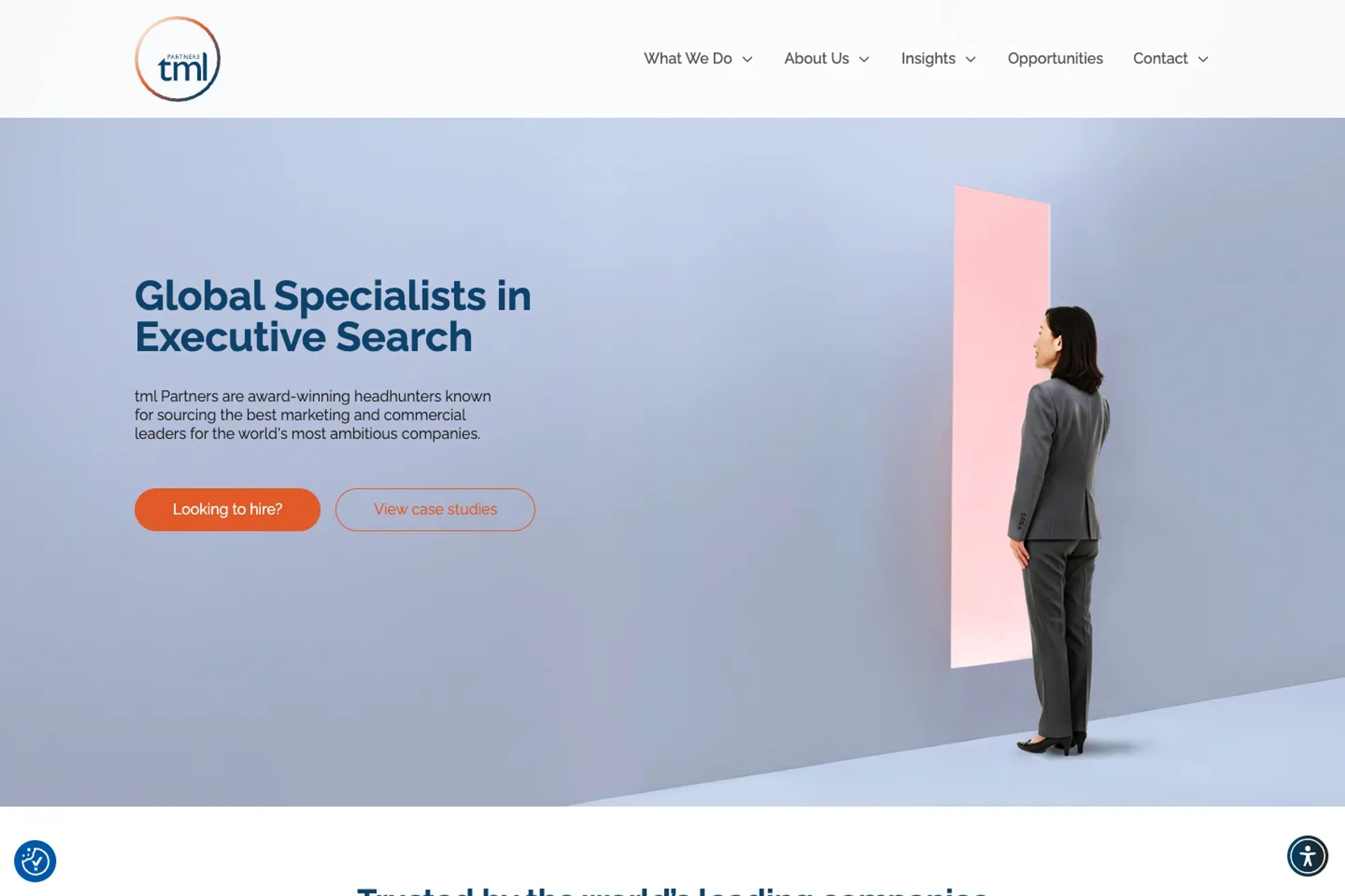 tml Partners website homepage