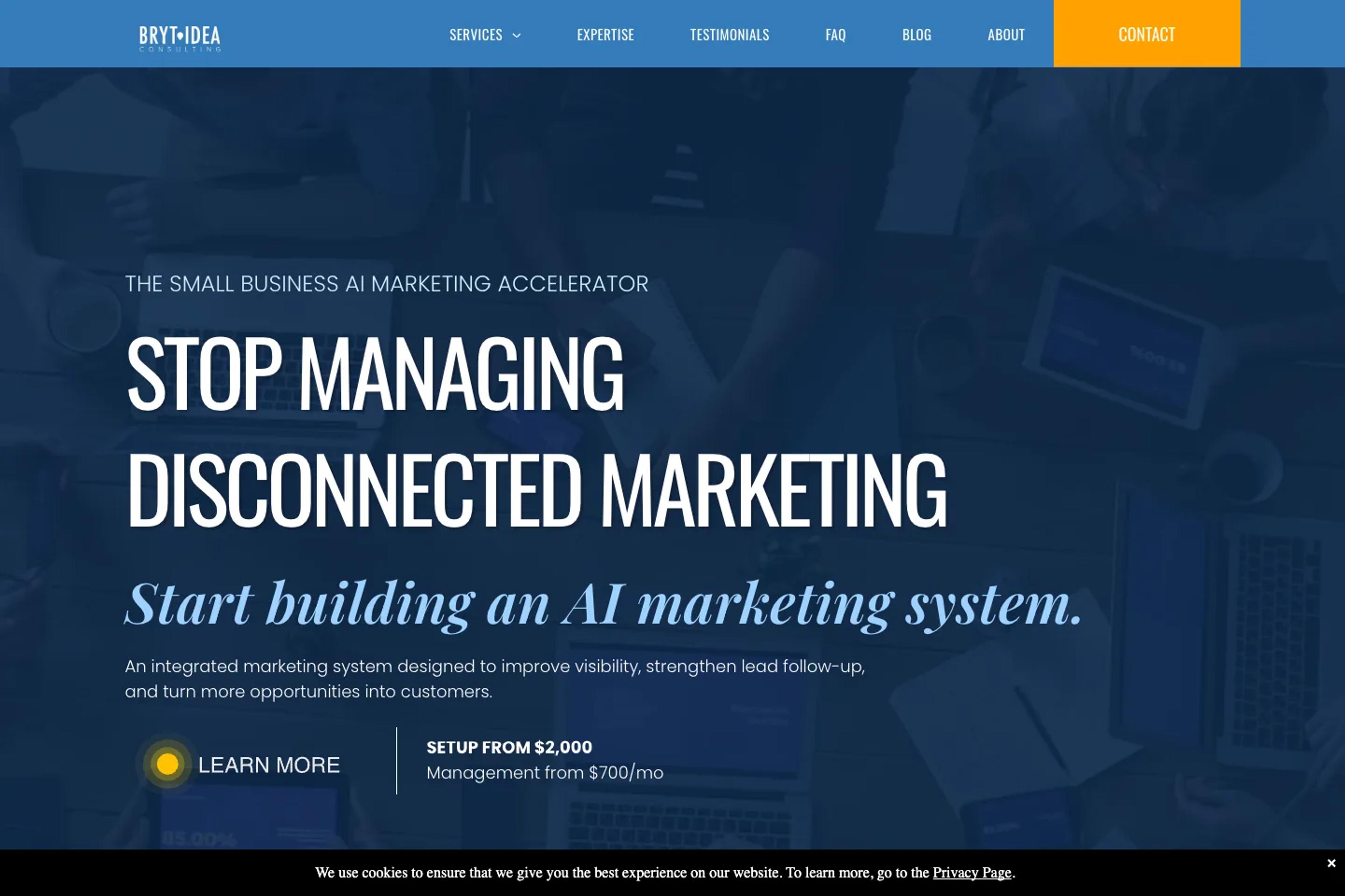 Bryt Idea Consulting website homepage