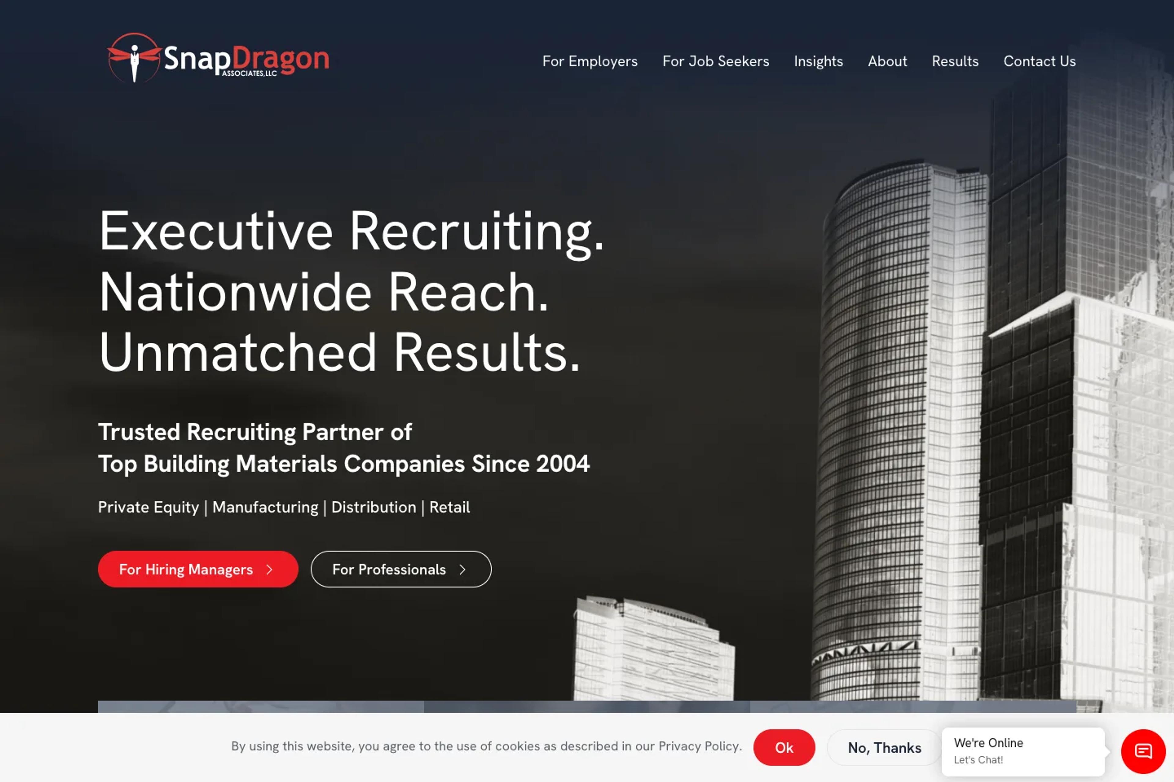 SnapDragon Associates website homepage