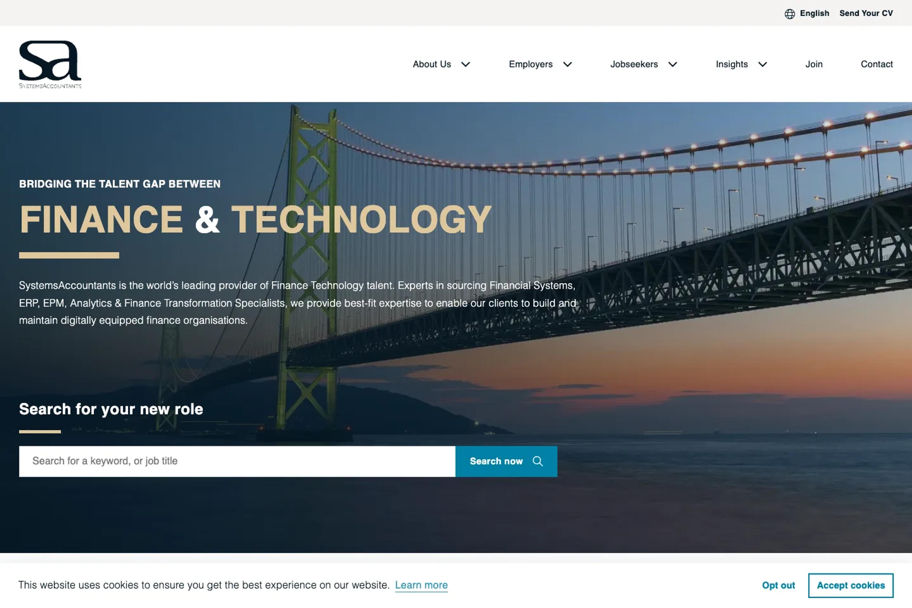 SystemsAccountants website homepage