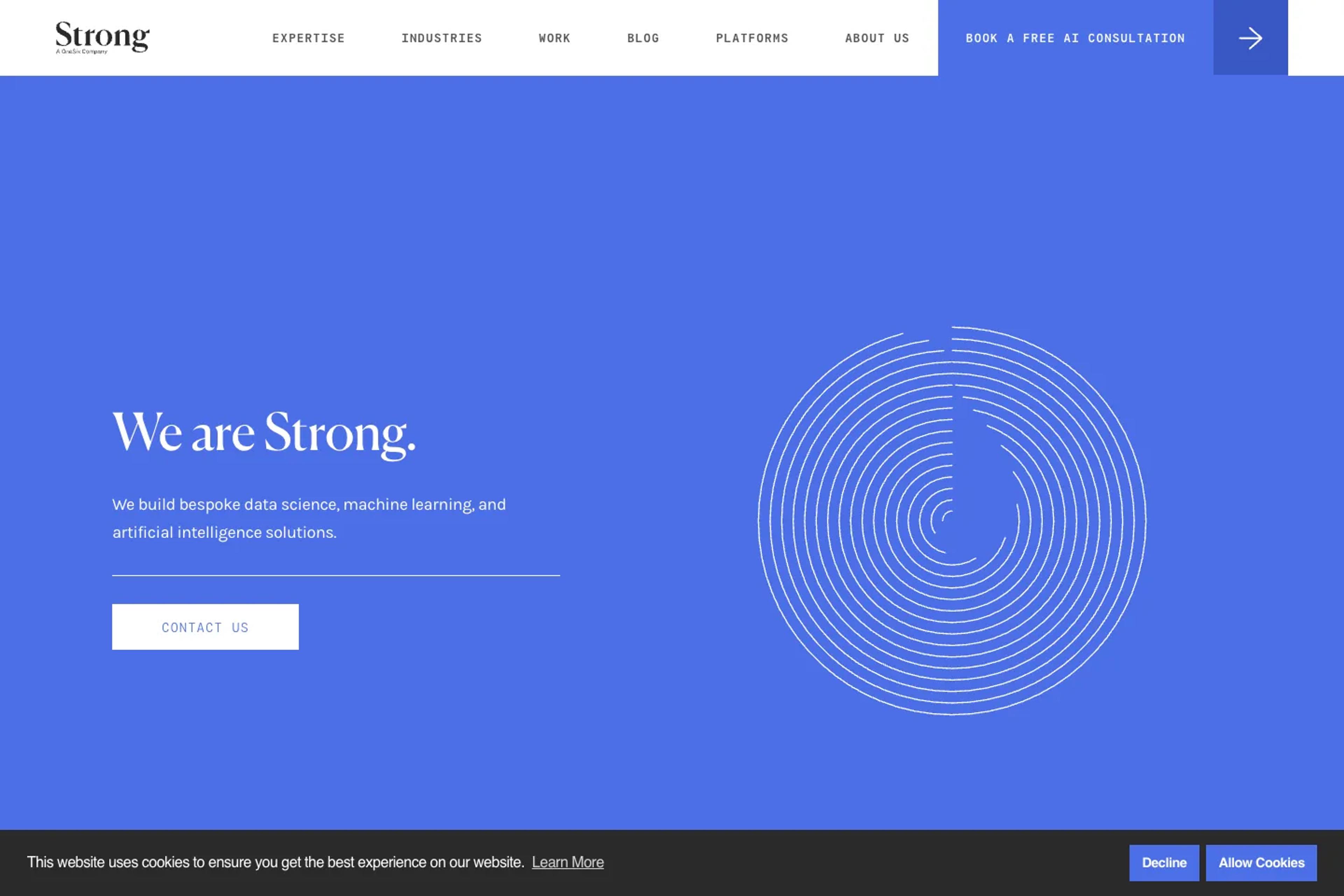 Strong Analytics website homepage