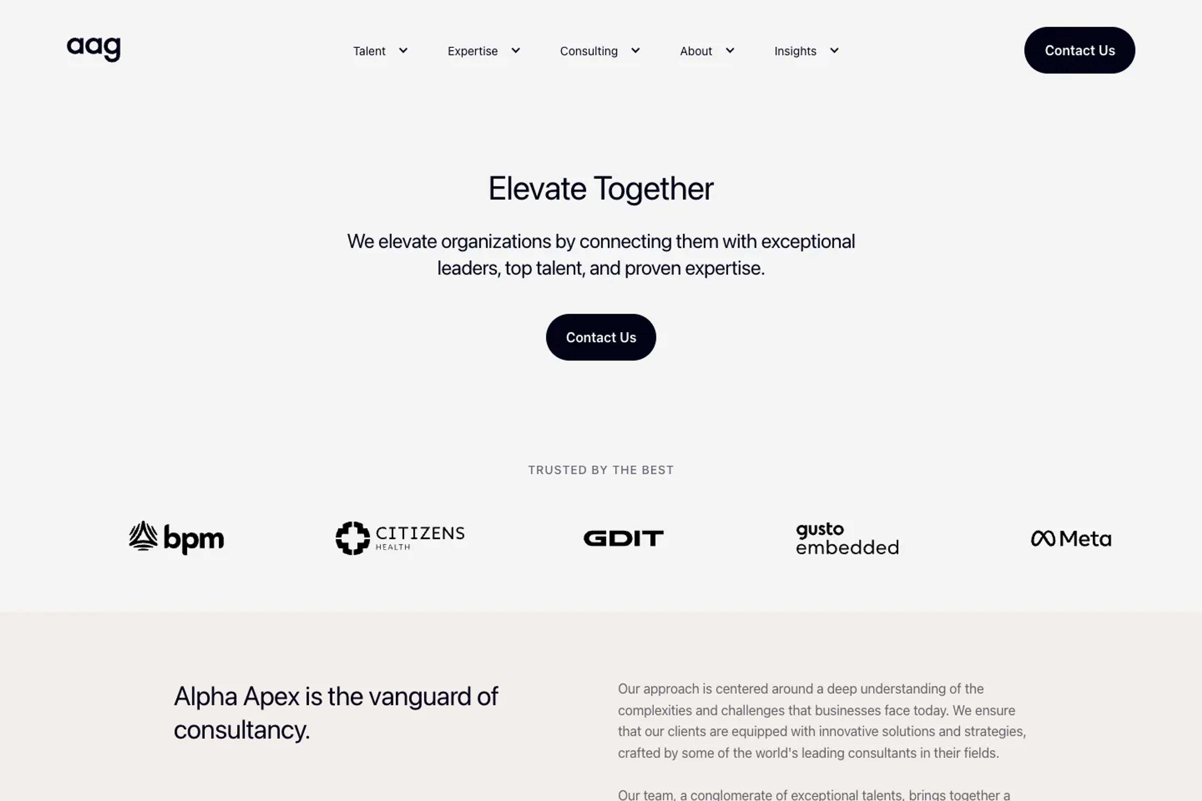 Alpha Apex Group website homepage