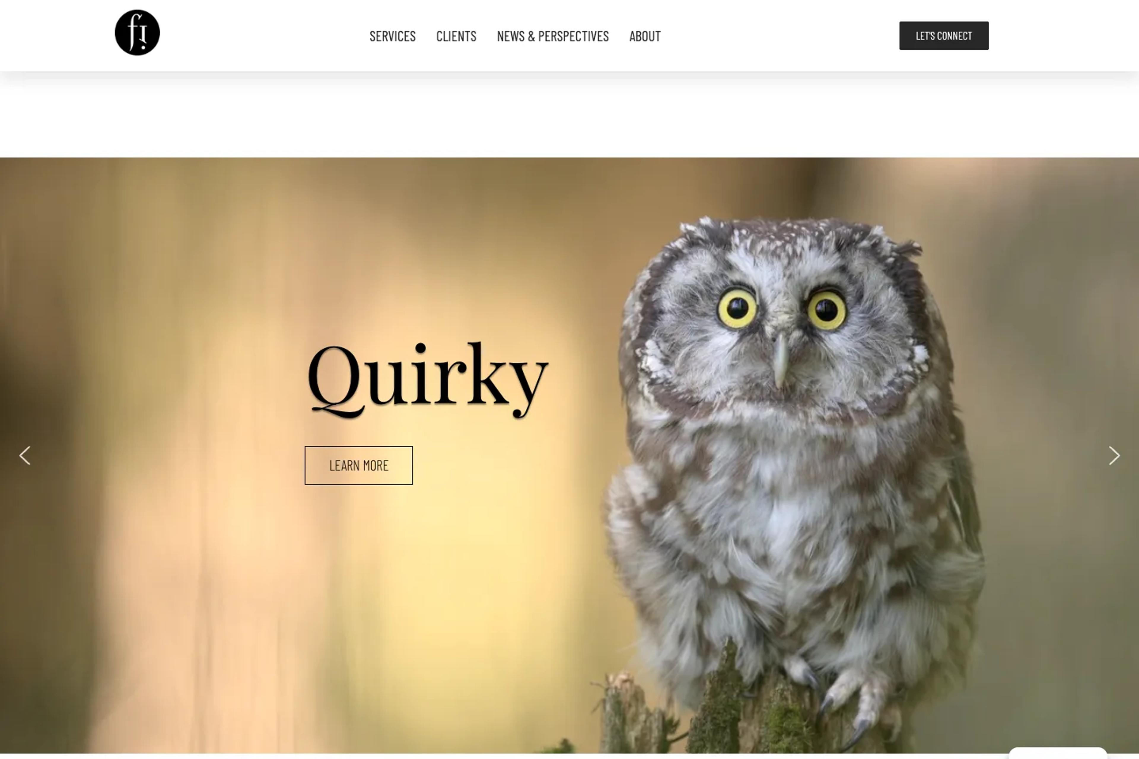 Focused Image website homepage