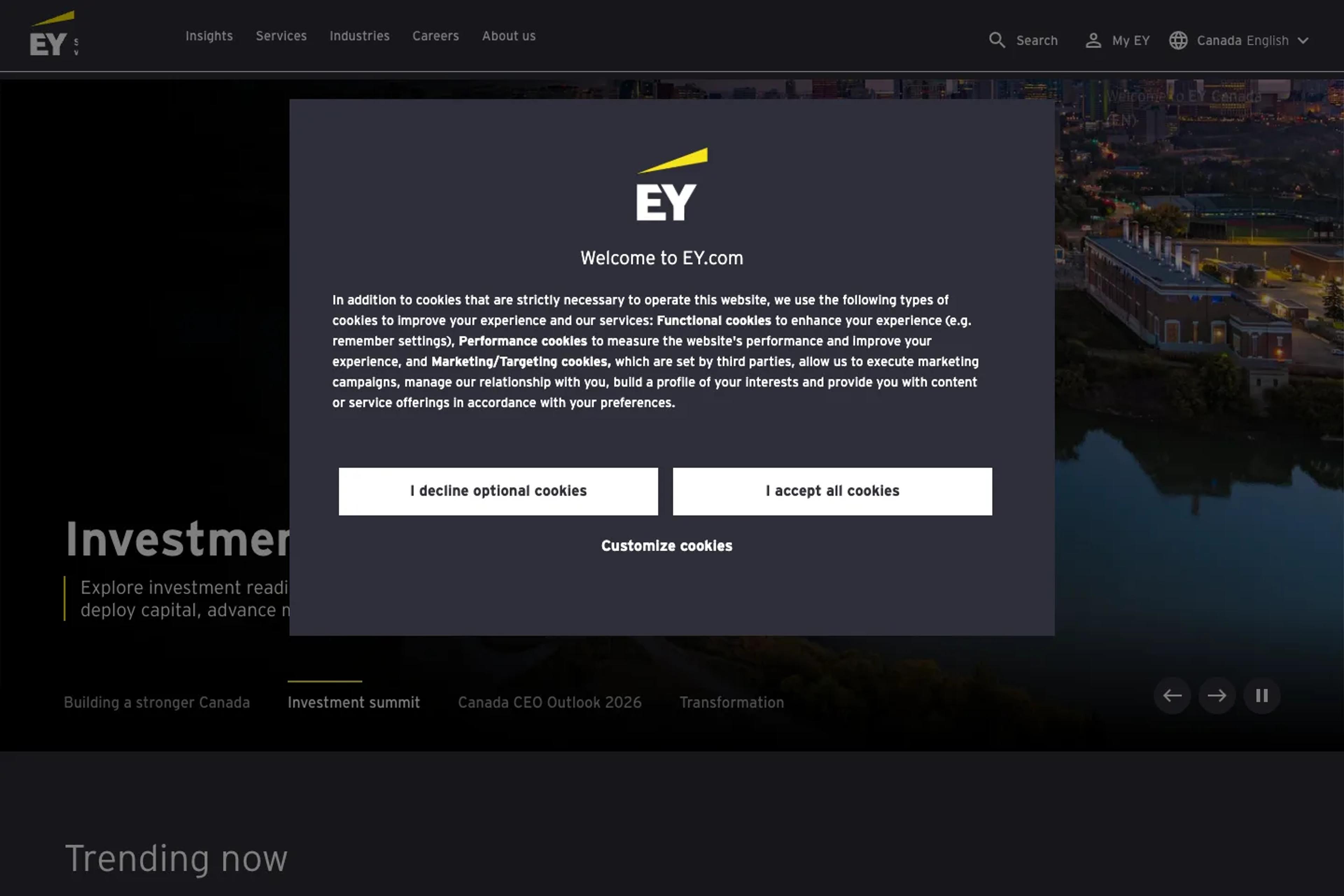 EY website homepage