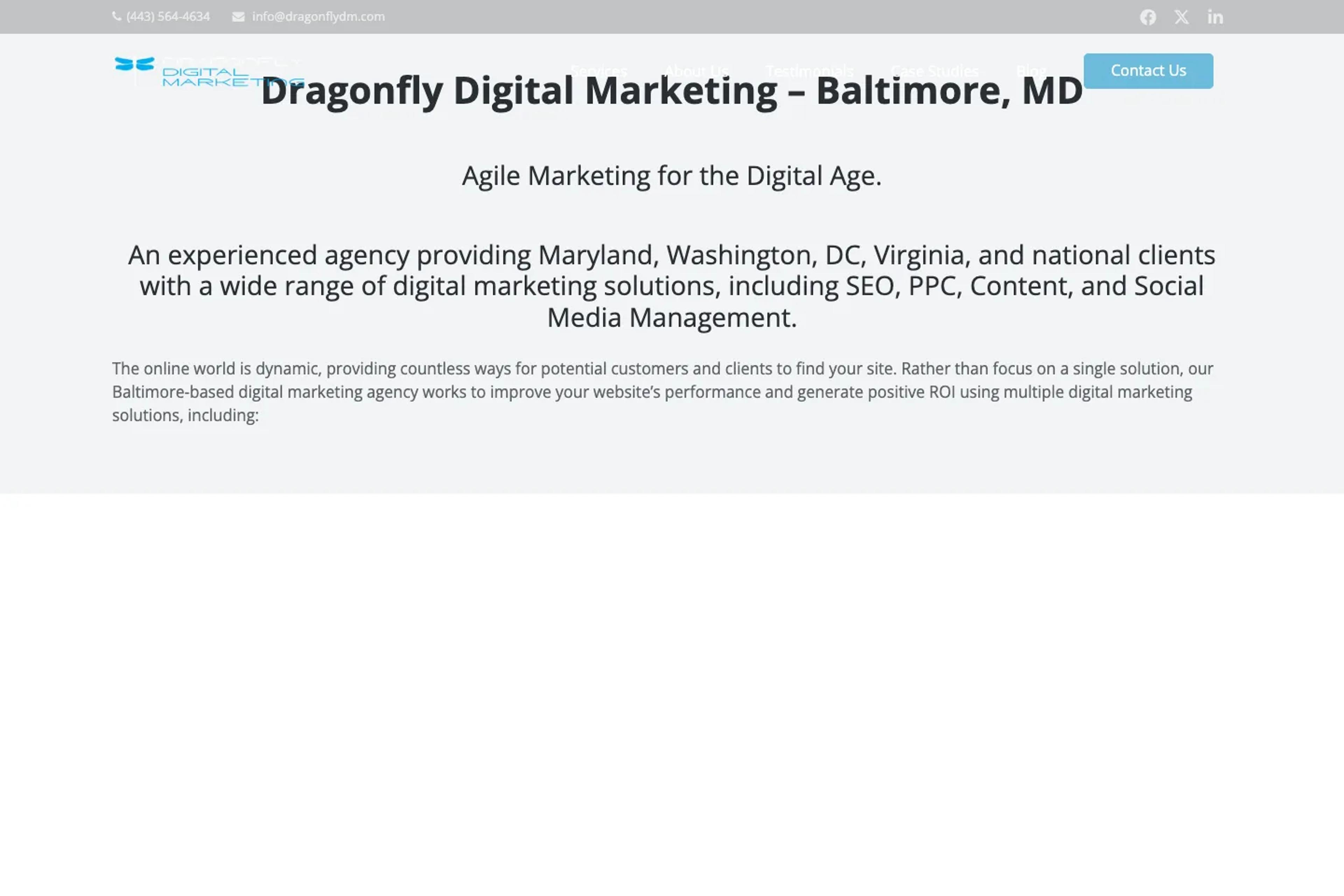 Dragonfly Digital Marketing website homepage