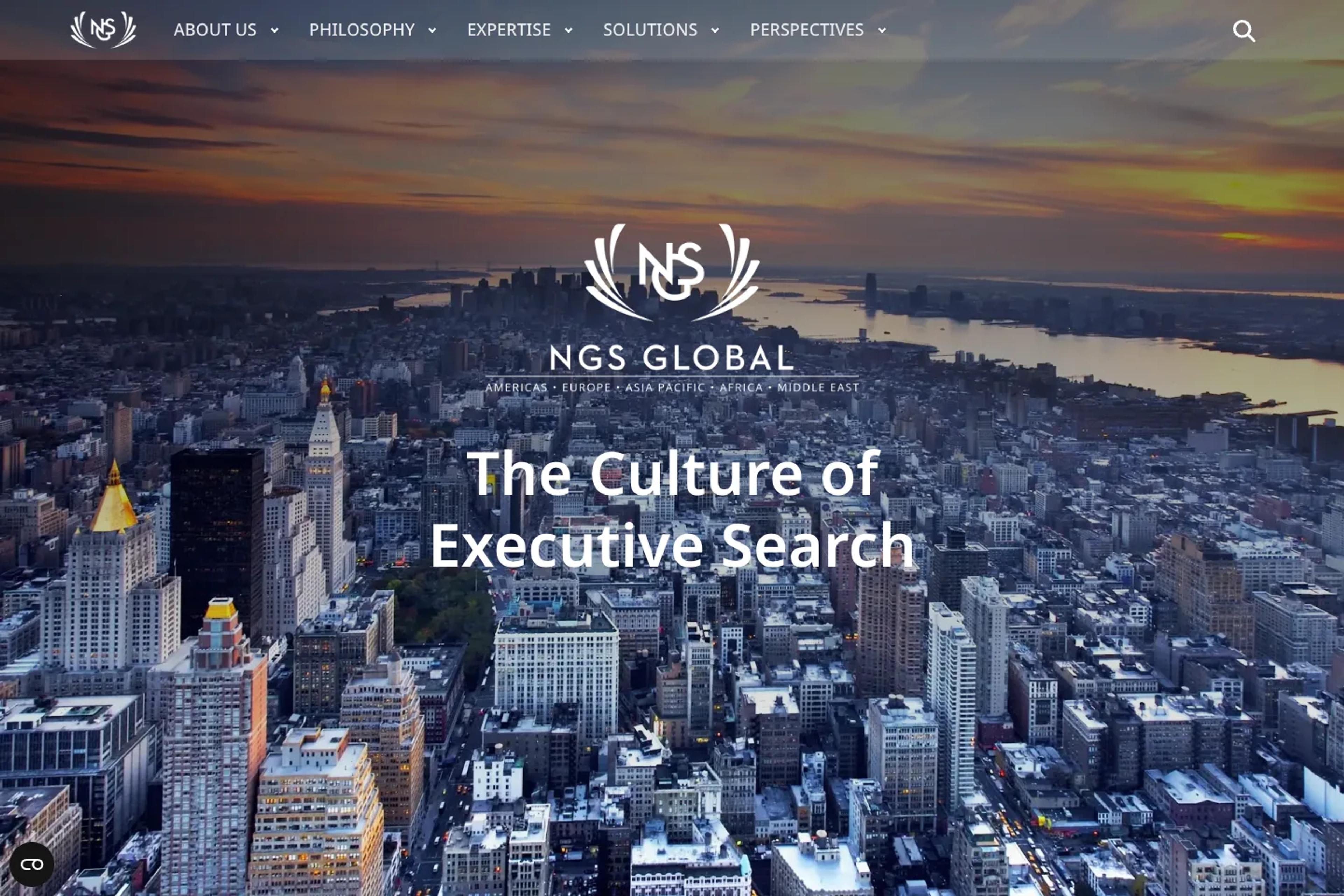 NGS Global website homepage