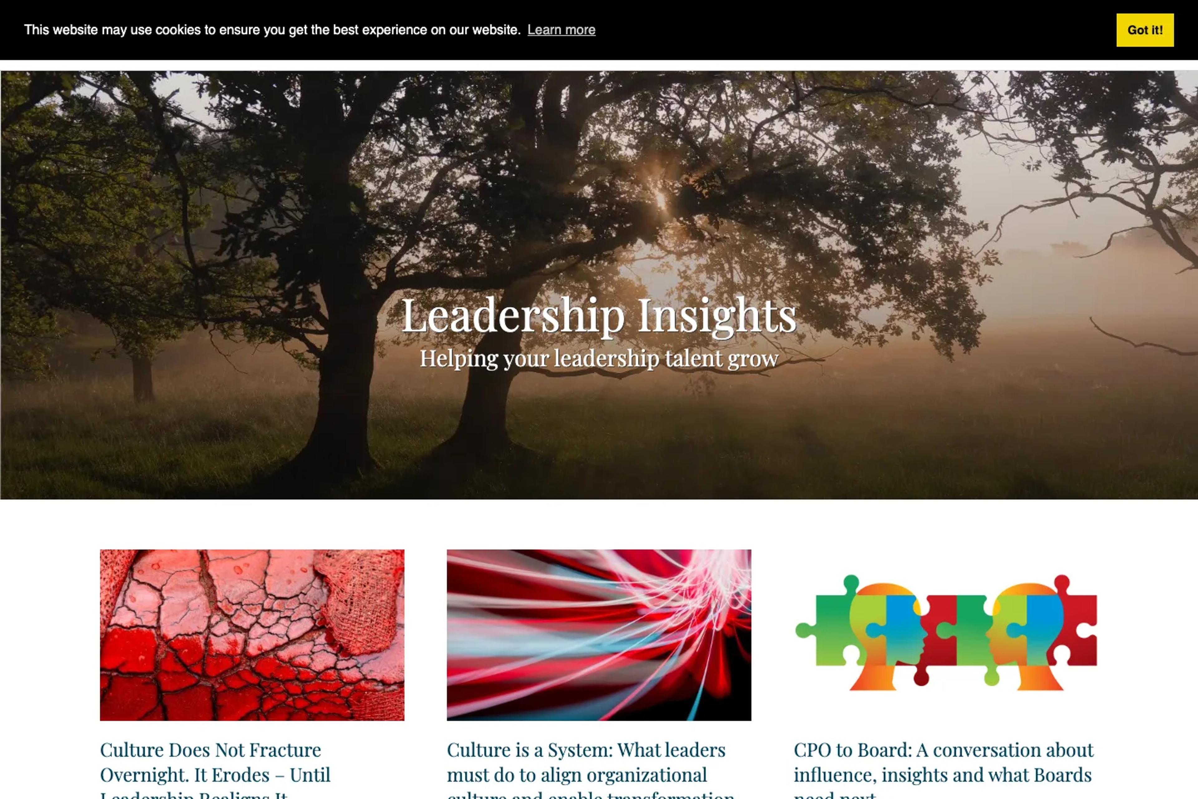 TRANSEARCH International Perth website homepage
