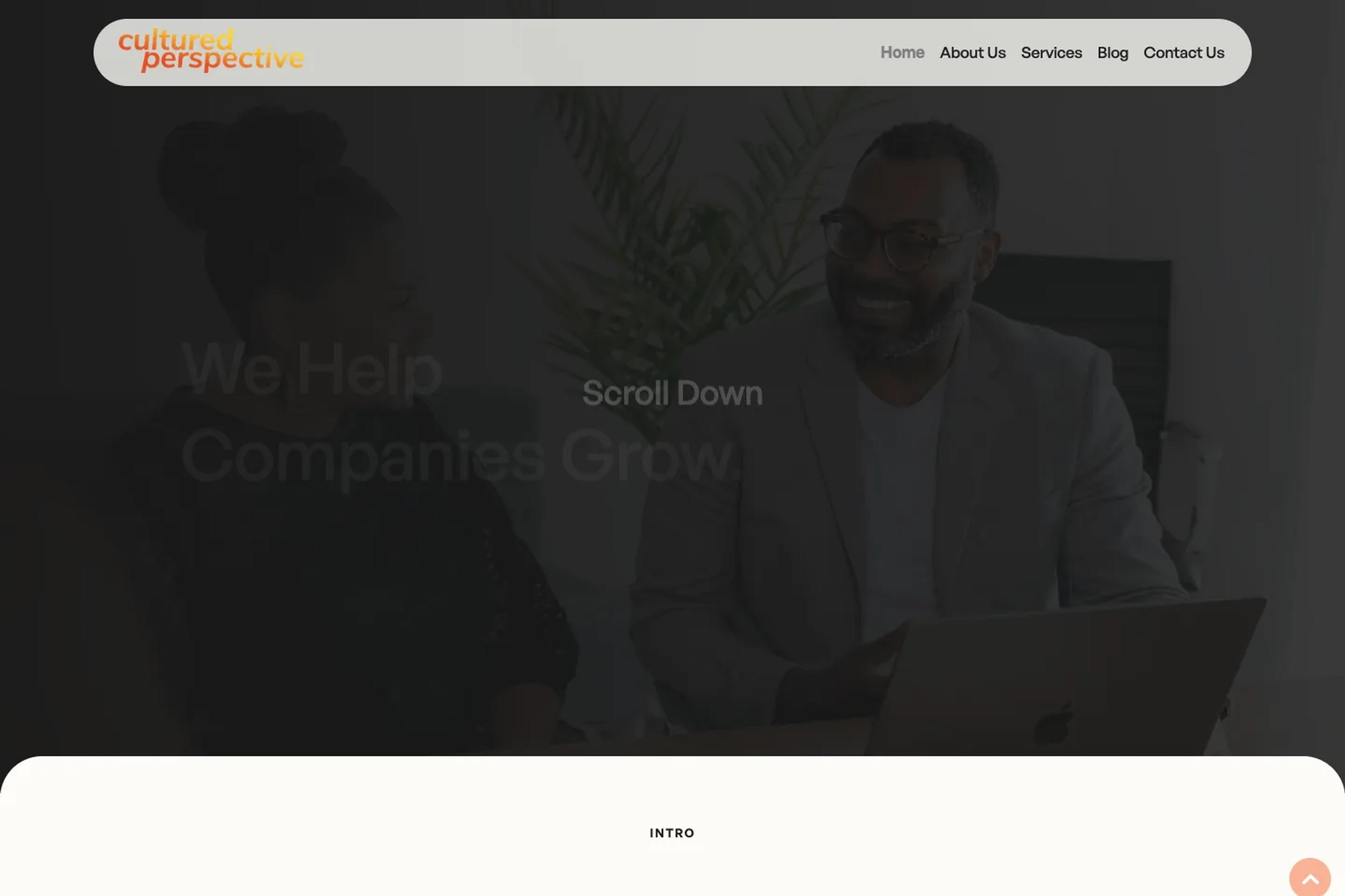 Cultured Perspective website homepage