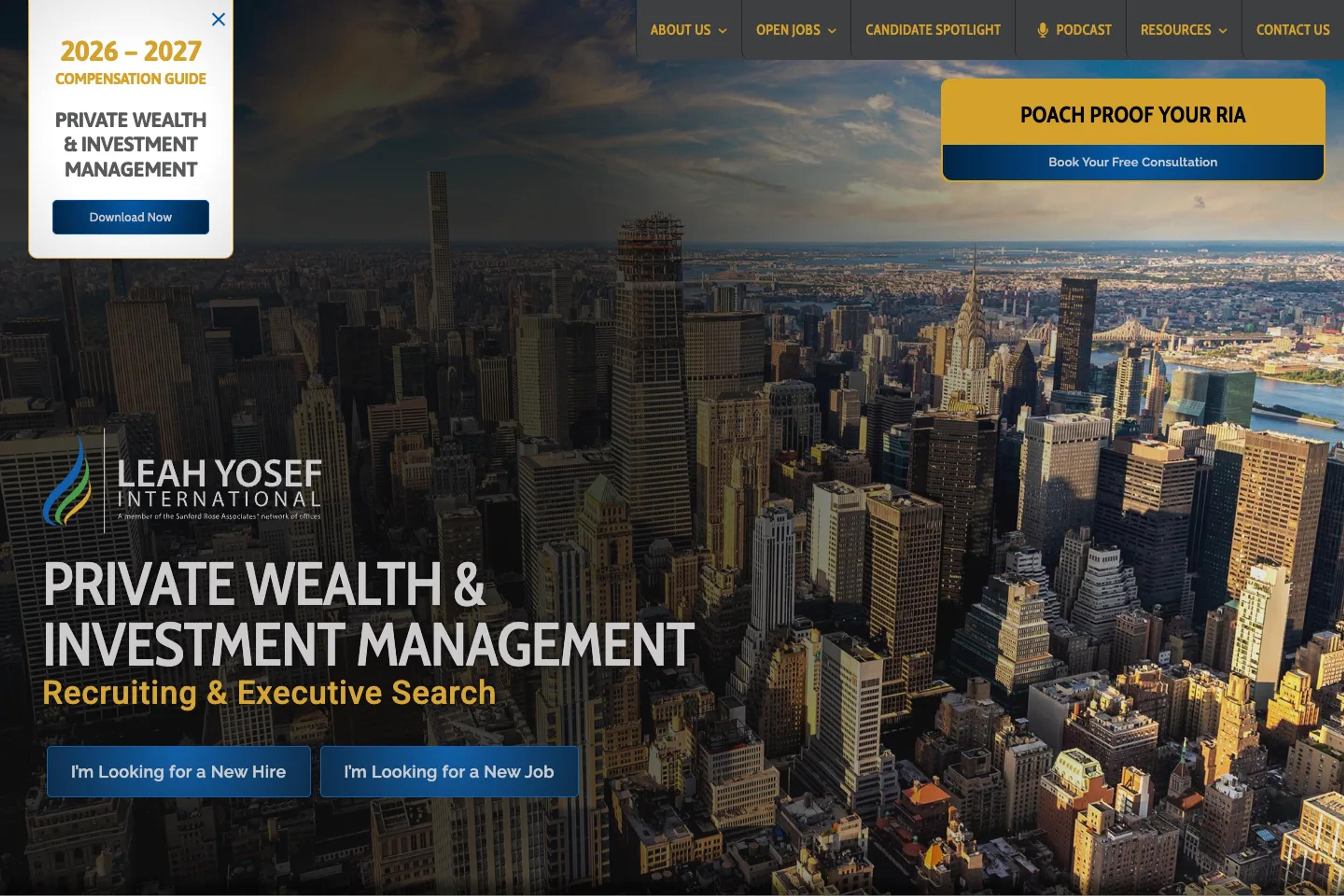 Leah Yosef International website homepage